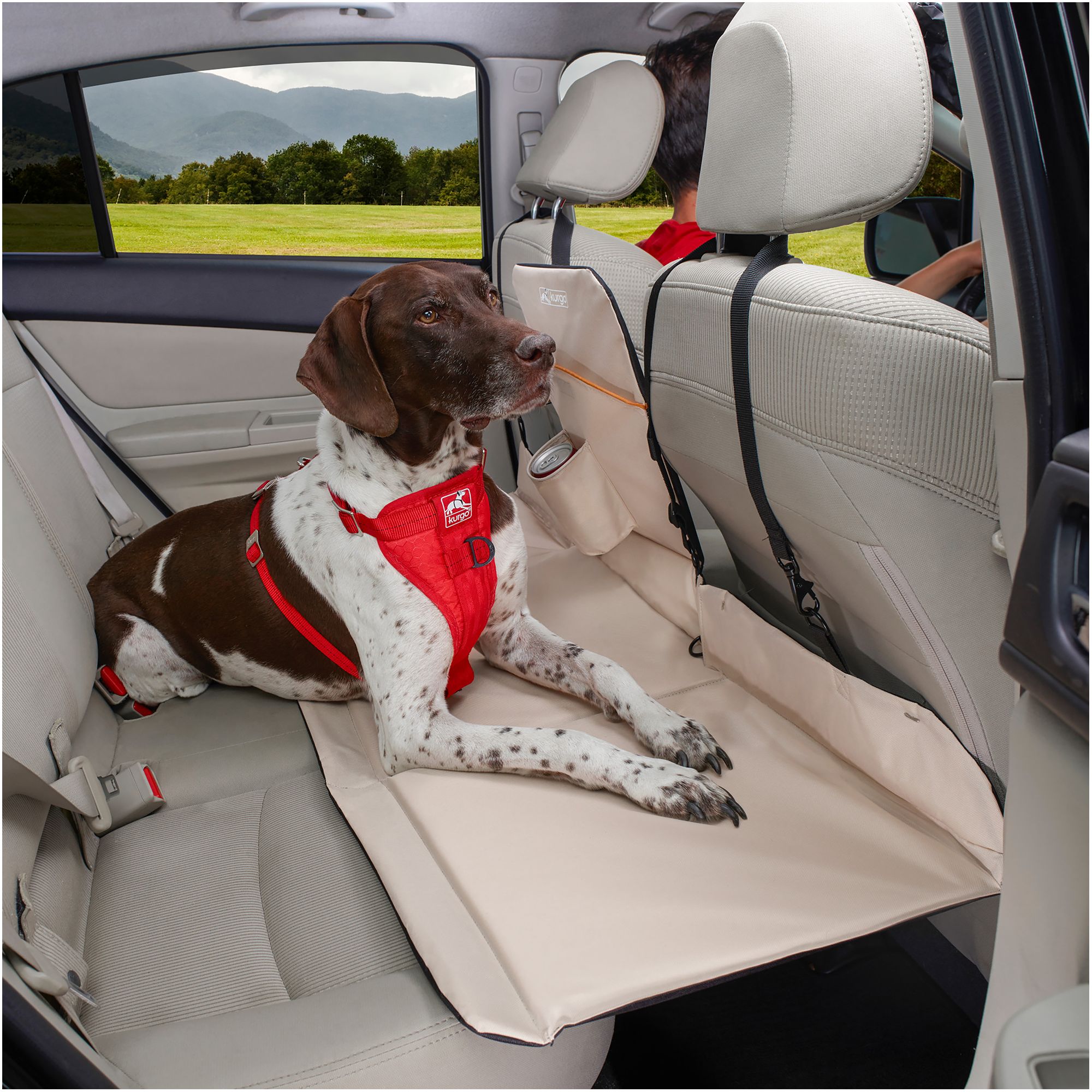 Pet Car Seat Cover Petsmart Velcromag