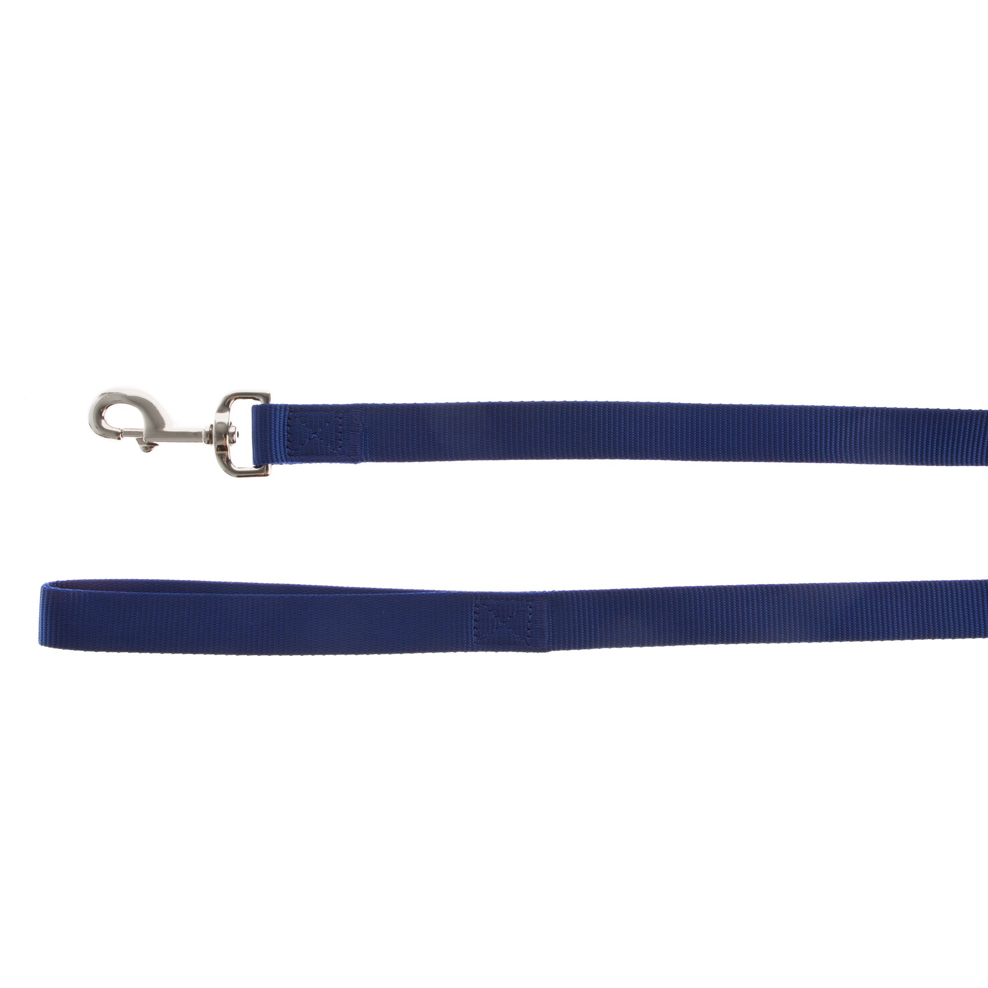 Petsmart Leather Leash