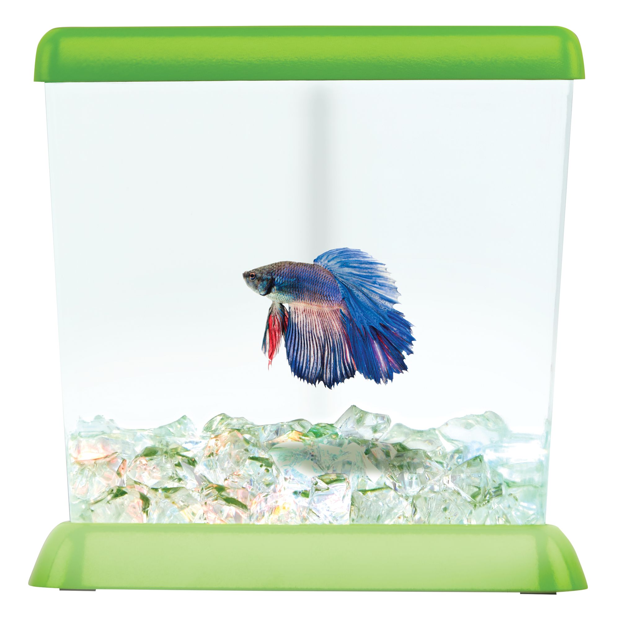 Top Fin® Fishy Corner Betta Tank fish Aquariums PetSmart