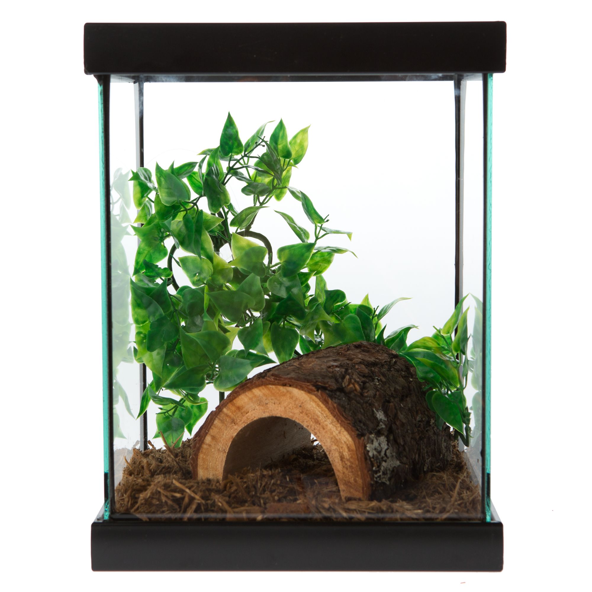 Zoo Med™ Bugarium Insect Habitat reptile Terrariums PetSmart