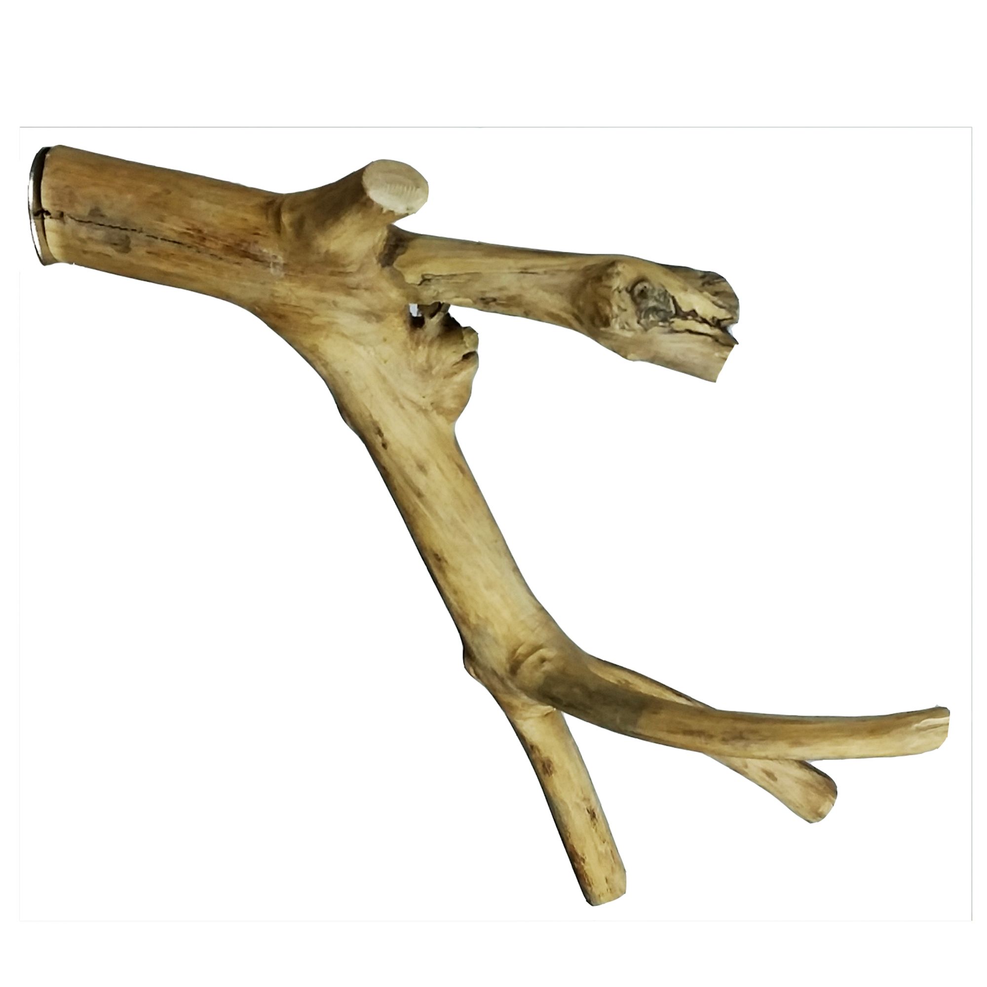 A&E Cage Company Java Wood Branch bird Perches & Swings PetSmart