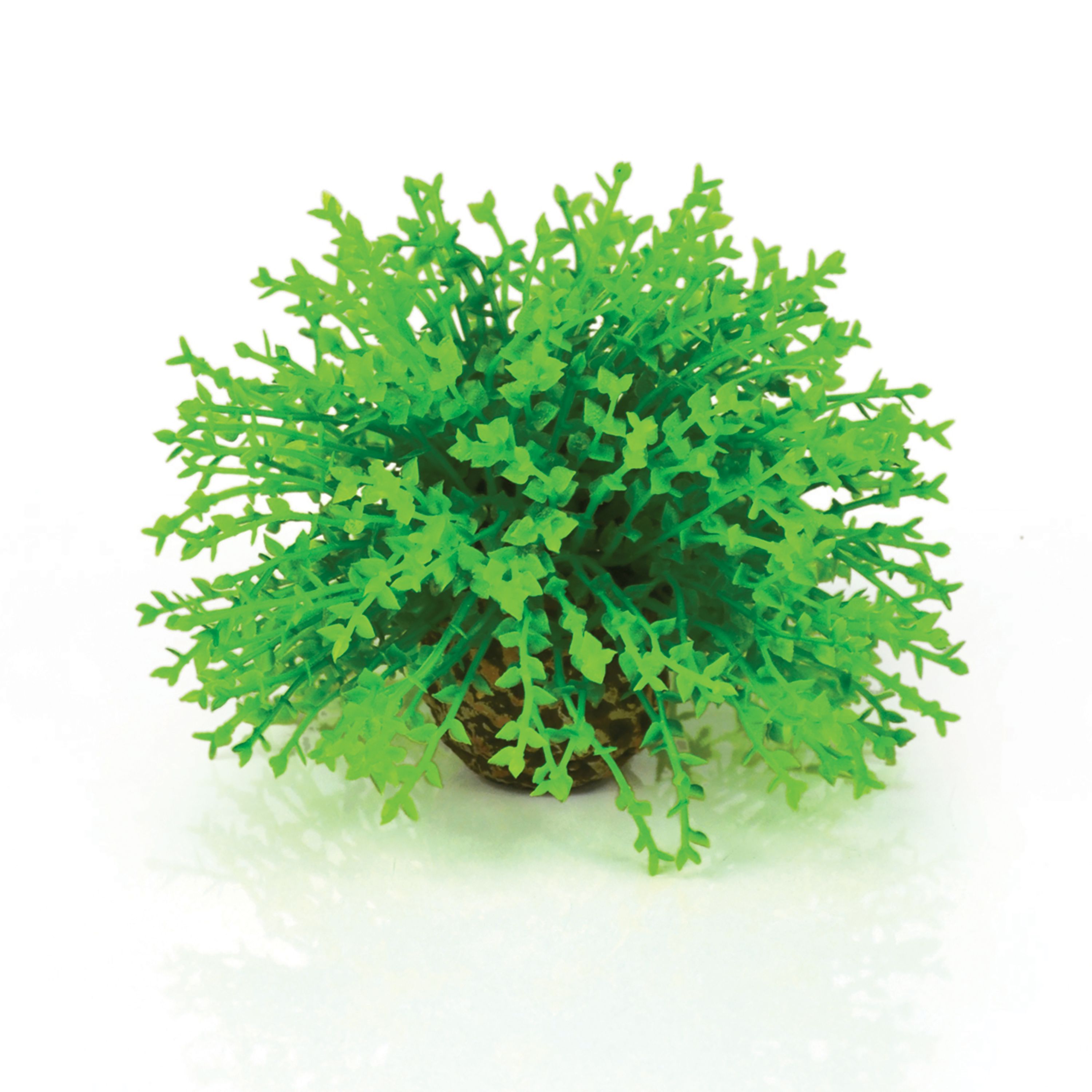 biOrb Topiary Artificial Aquarium Plant fish Artificial Plants PetSmart