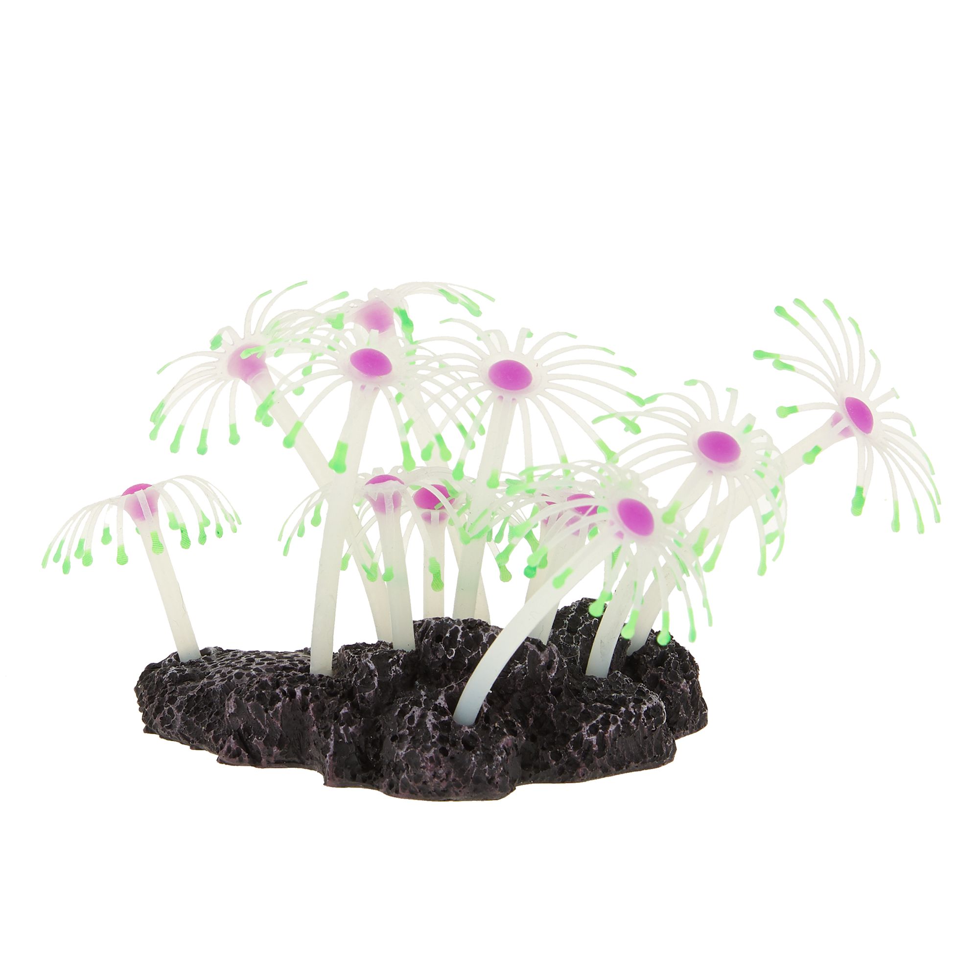 Top Fin® GlowintheDark Moveable Flower Aquarium Ornament fish
