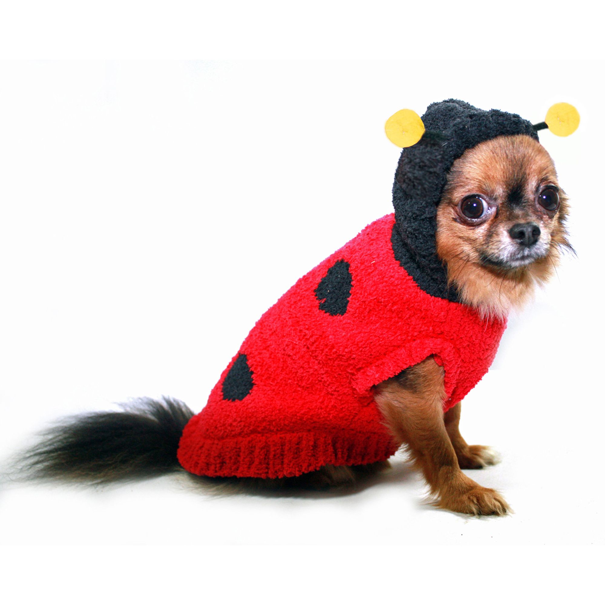 Hip Doggie Lady Bug Dog Sweater dog Sweaters PetSmart