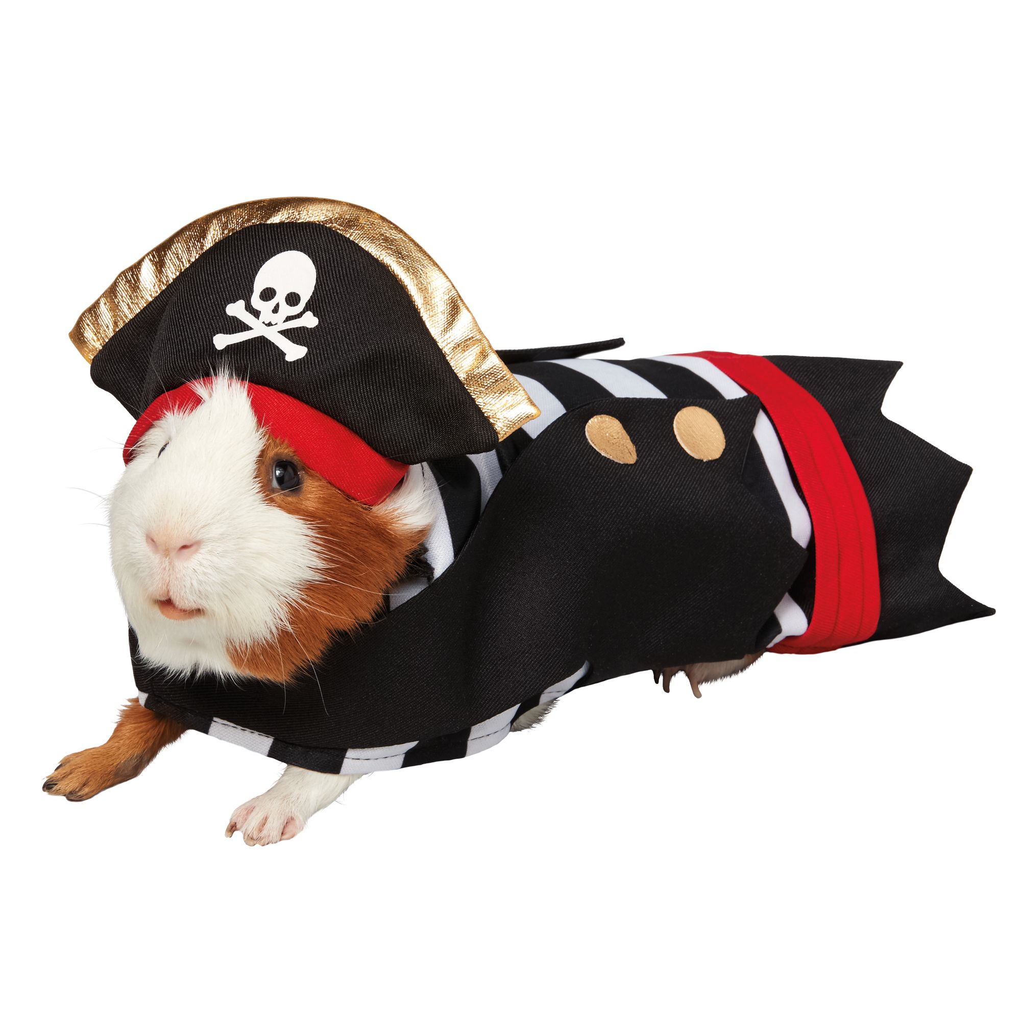 Thrills & Chills™ Pirate Small Pet Costume small pet Small Pet