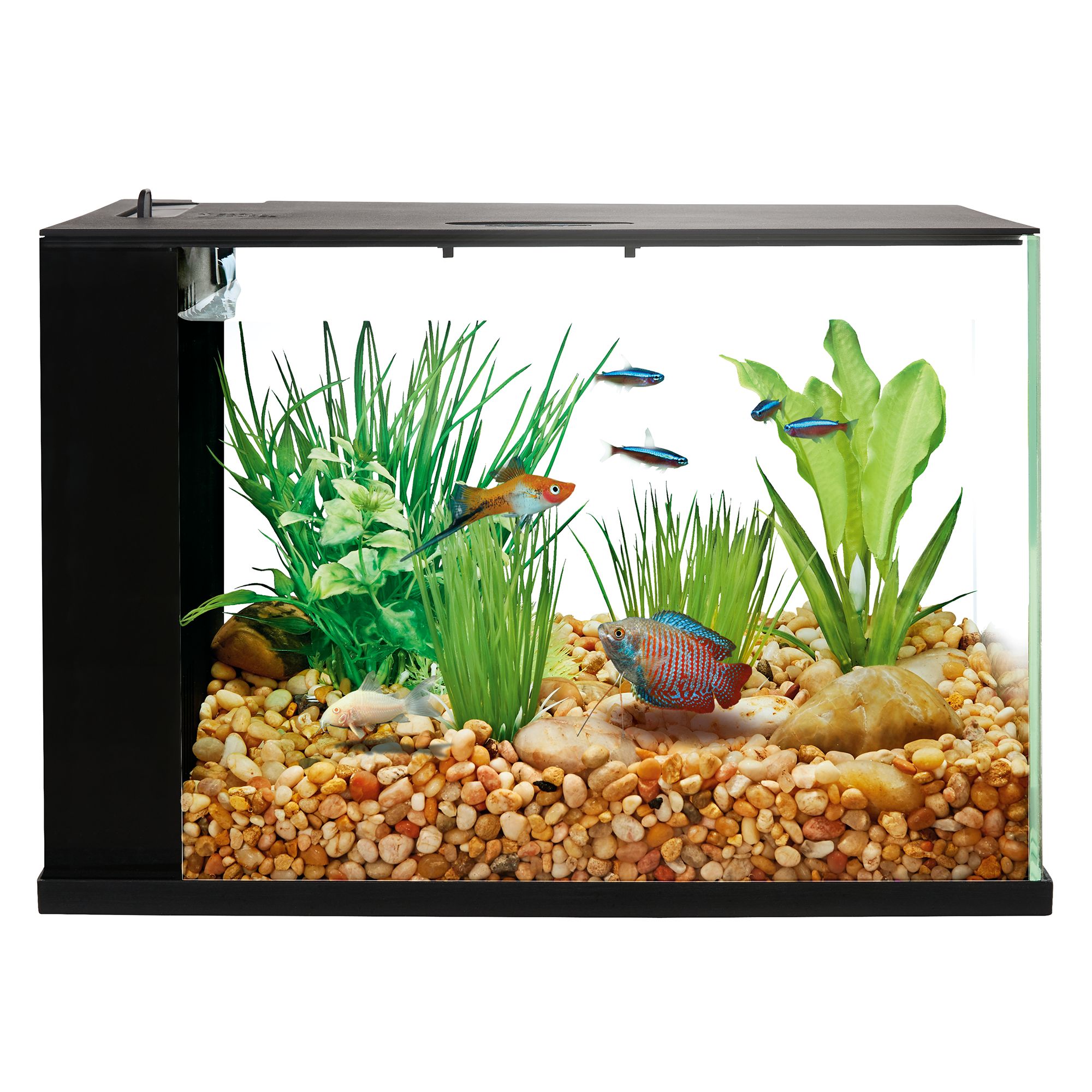 Top Fin® Indulge™ 3 Gallon Aquarium fish Aquariums PetSmart