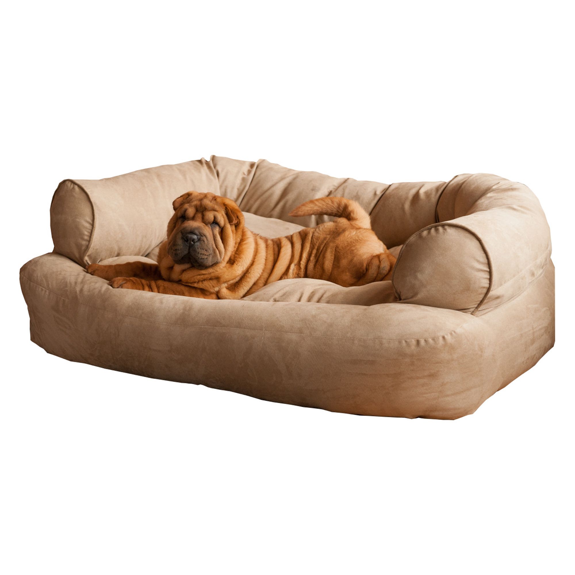 Luxury Sofa Beds For Dogs Baci Living Room