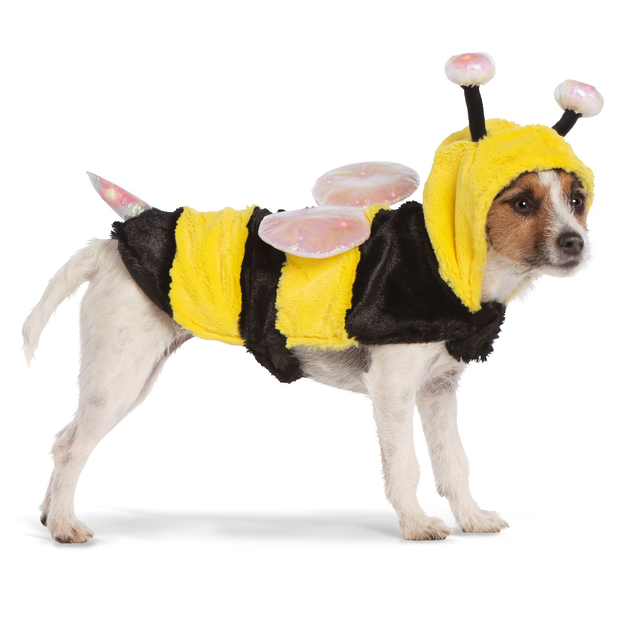 Bumble Bee Dog Costume Large
