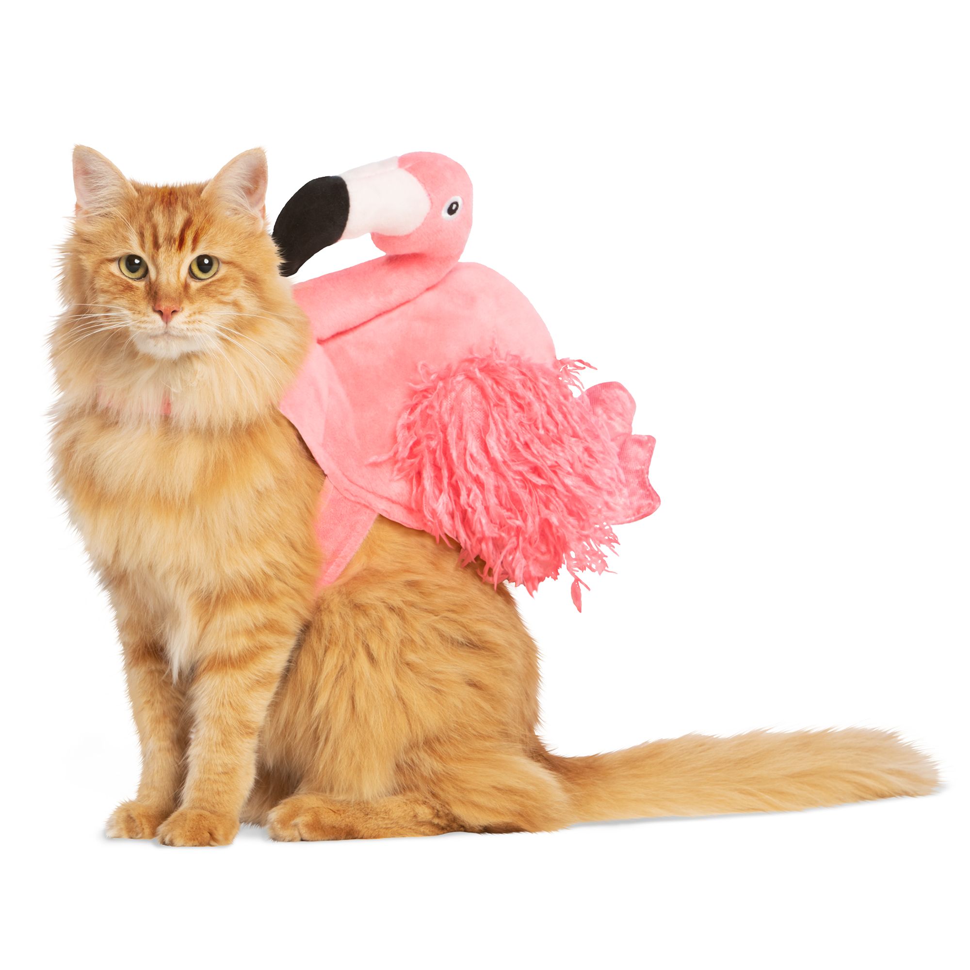 Pickle Costume For Cat