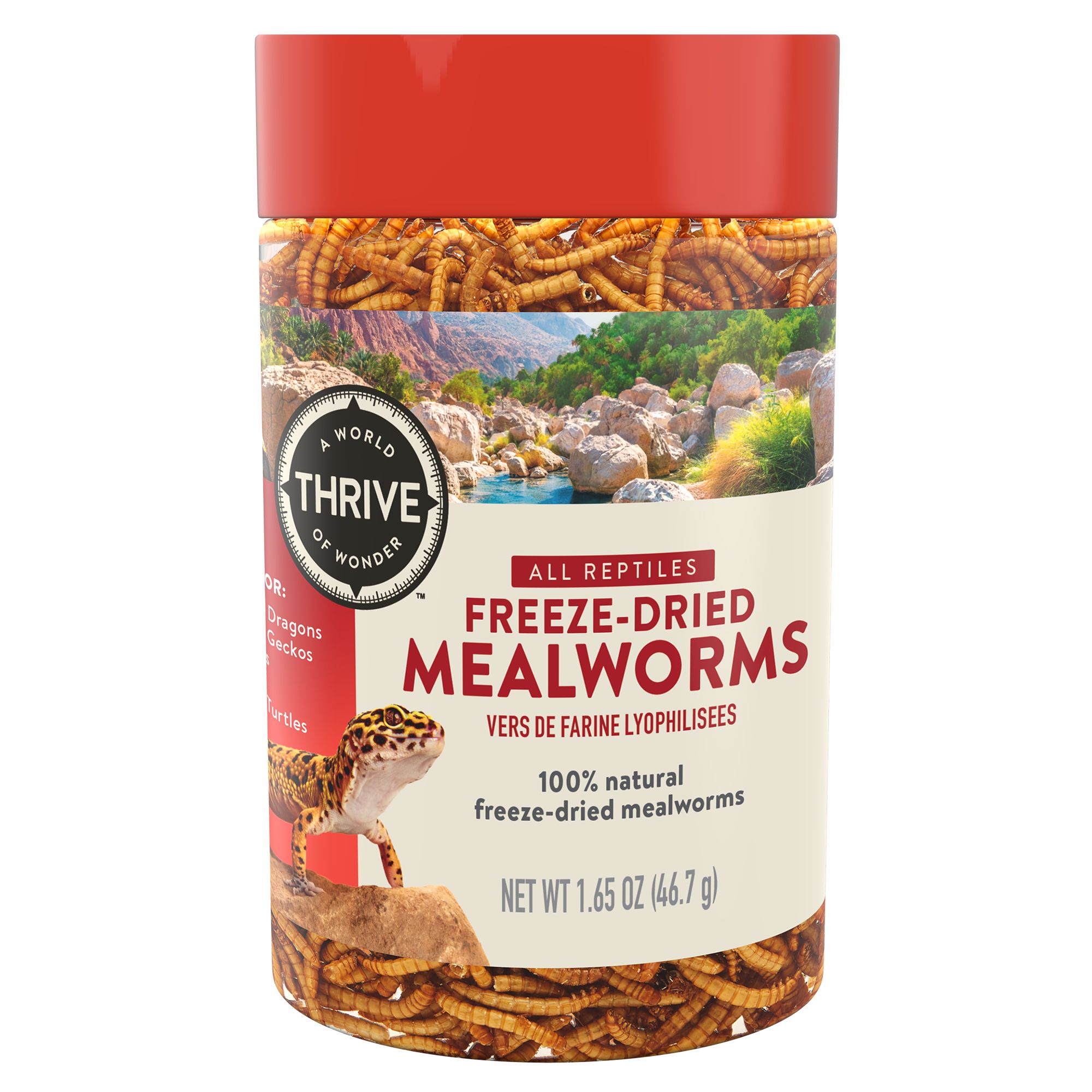 Freeze Dried Mealworms ubicaciondepersonas.cdmx.gob.mx