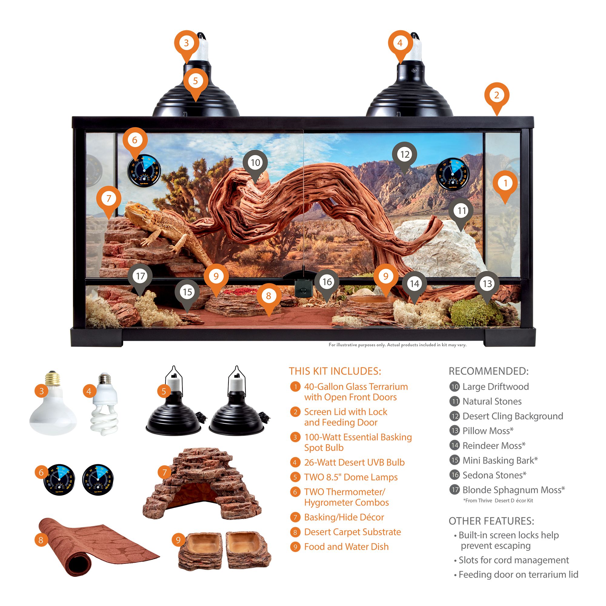 40 Gallon Terrarium Bearded Dragon Kit Bruin Blog