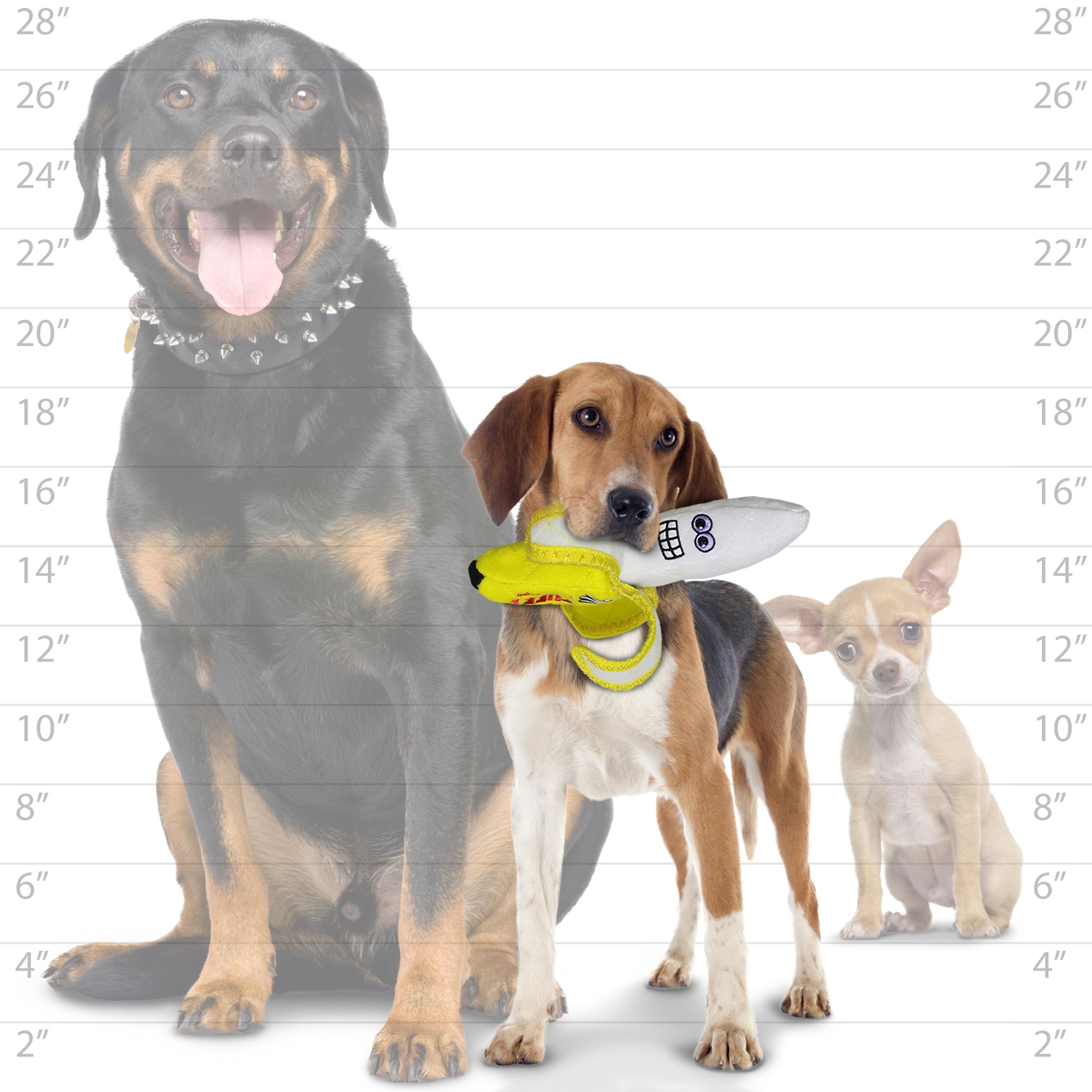 Tuffy Dog Toy Review Wow Blog