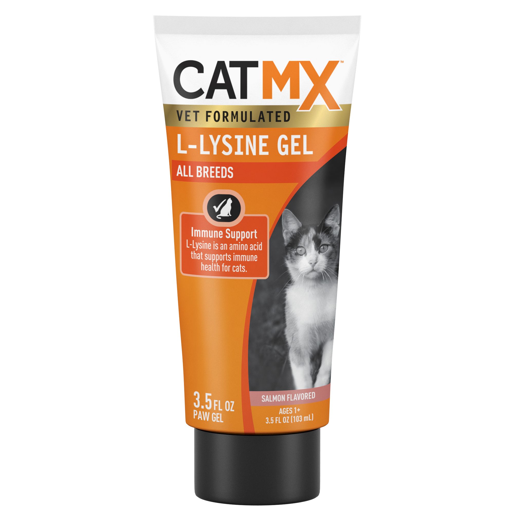 Lysine Treats For Cats Petsmart slidesharetrick