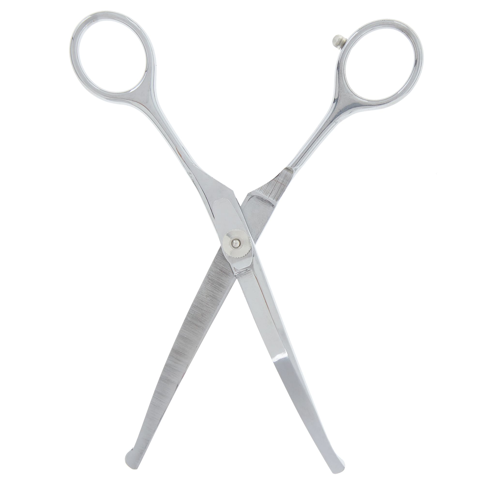 Top Paw® Curved Ball Tip Pet Hair Scissors dog Hair Clippers
