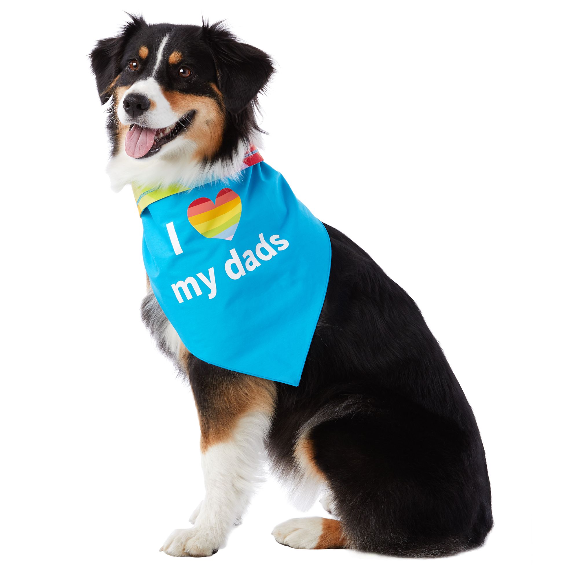pet bandanas canada Cheaper Than Retail Price> Buy Clothing, Accessories and lifestyle products