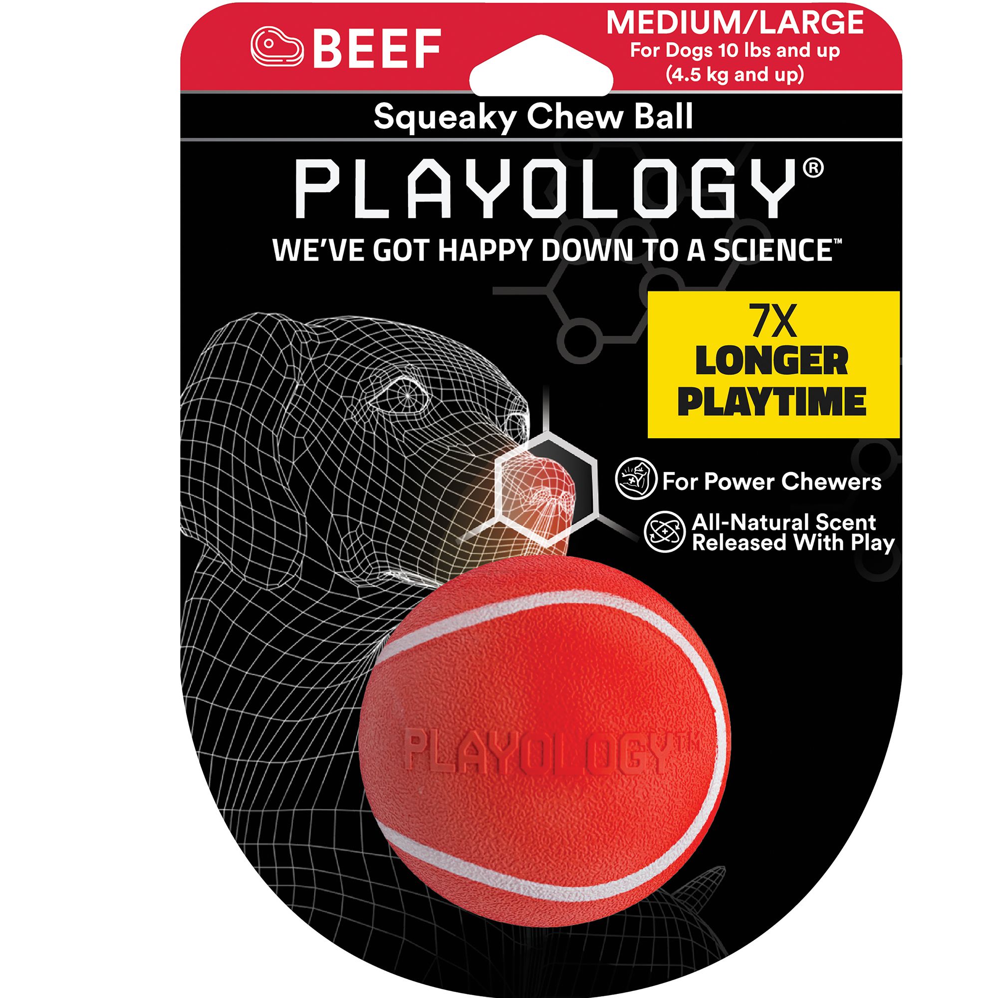 Playology® Squeaky Scented Chew Ball Dog Toy Beef dog Chew Toys PetSmart