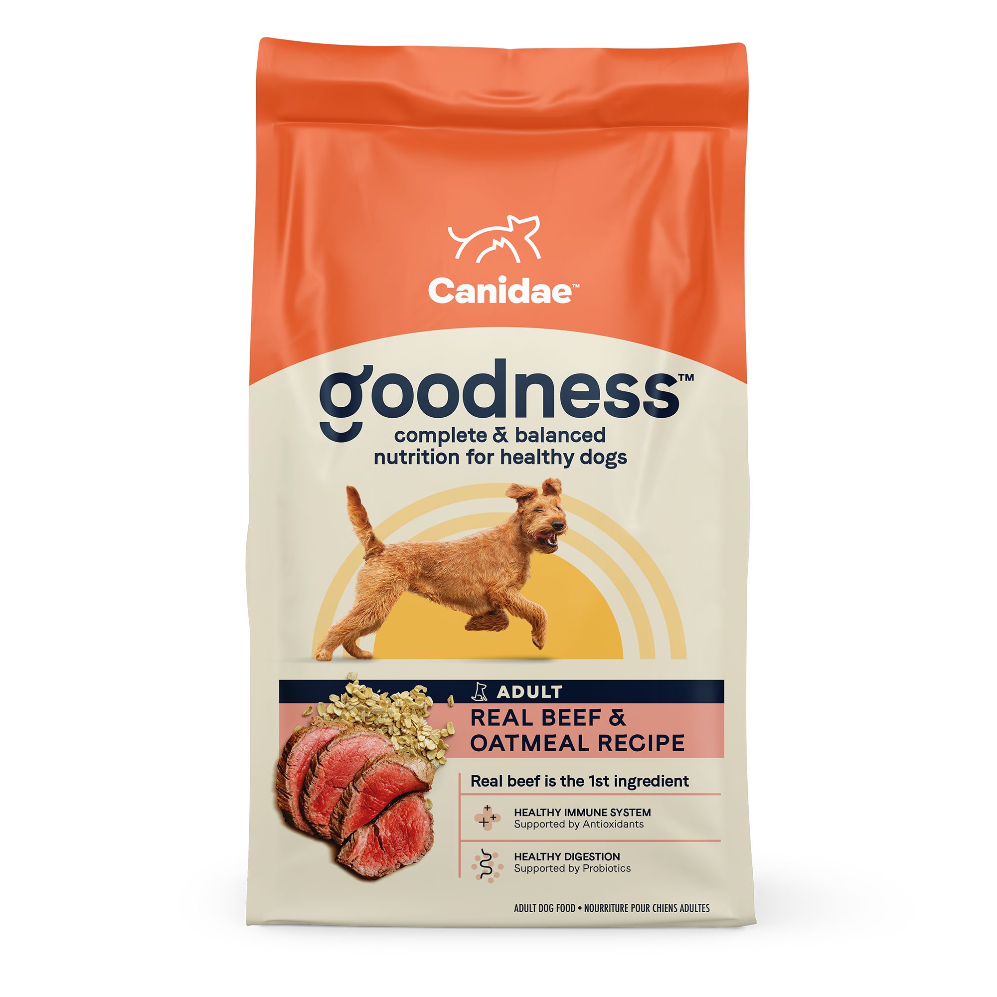 Canidae® Goodness Adult Dry Dog Food Beef & Oatmeal dog Dry Food