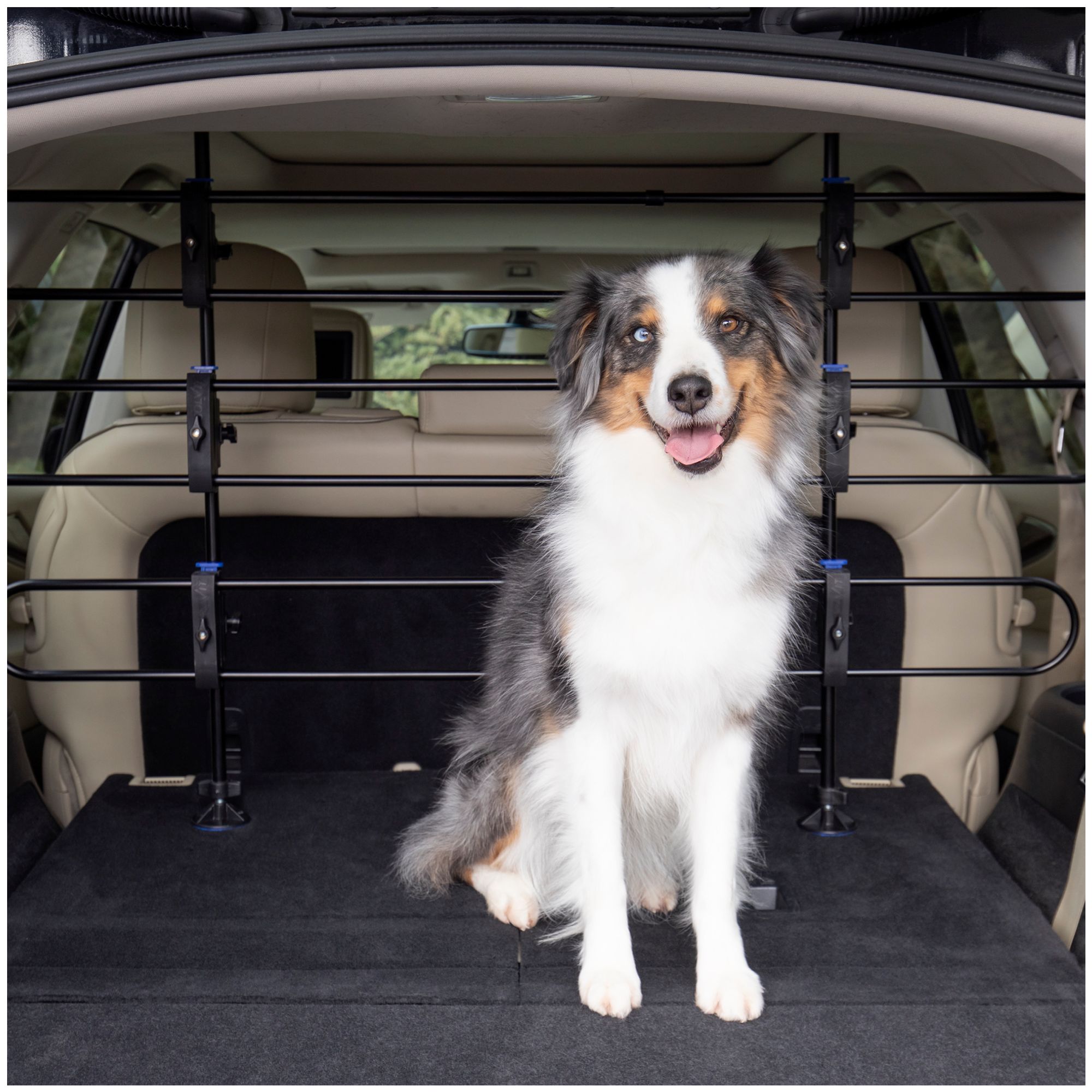 PetSafe® Happy Ride Metal Dog Barrier Adjustable Sturdy Construction