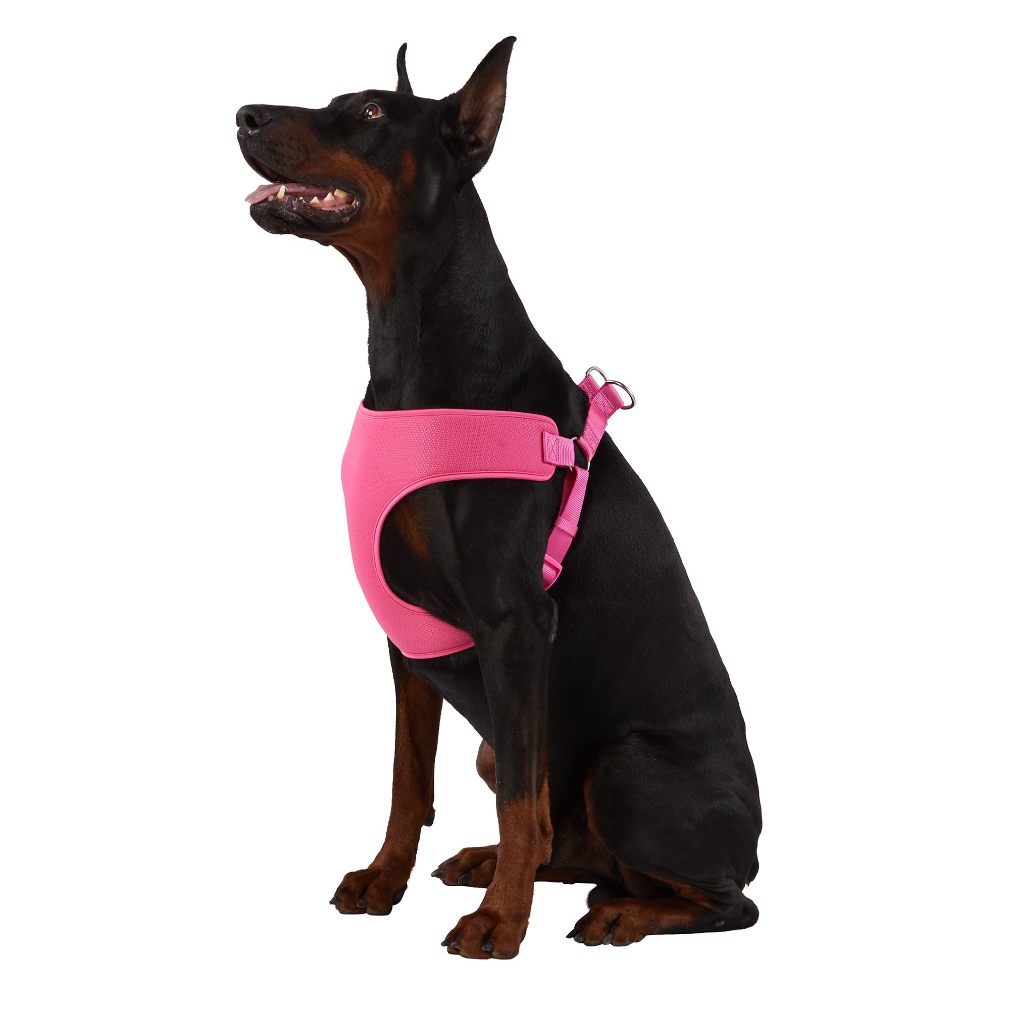 Top Paw Martingale Collar