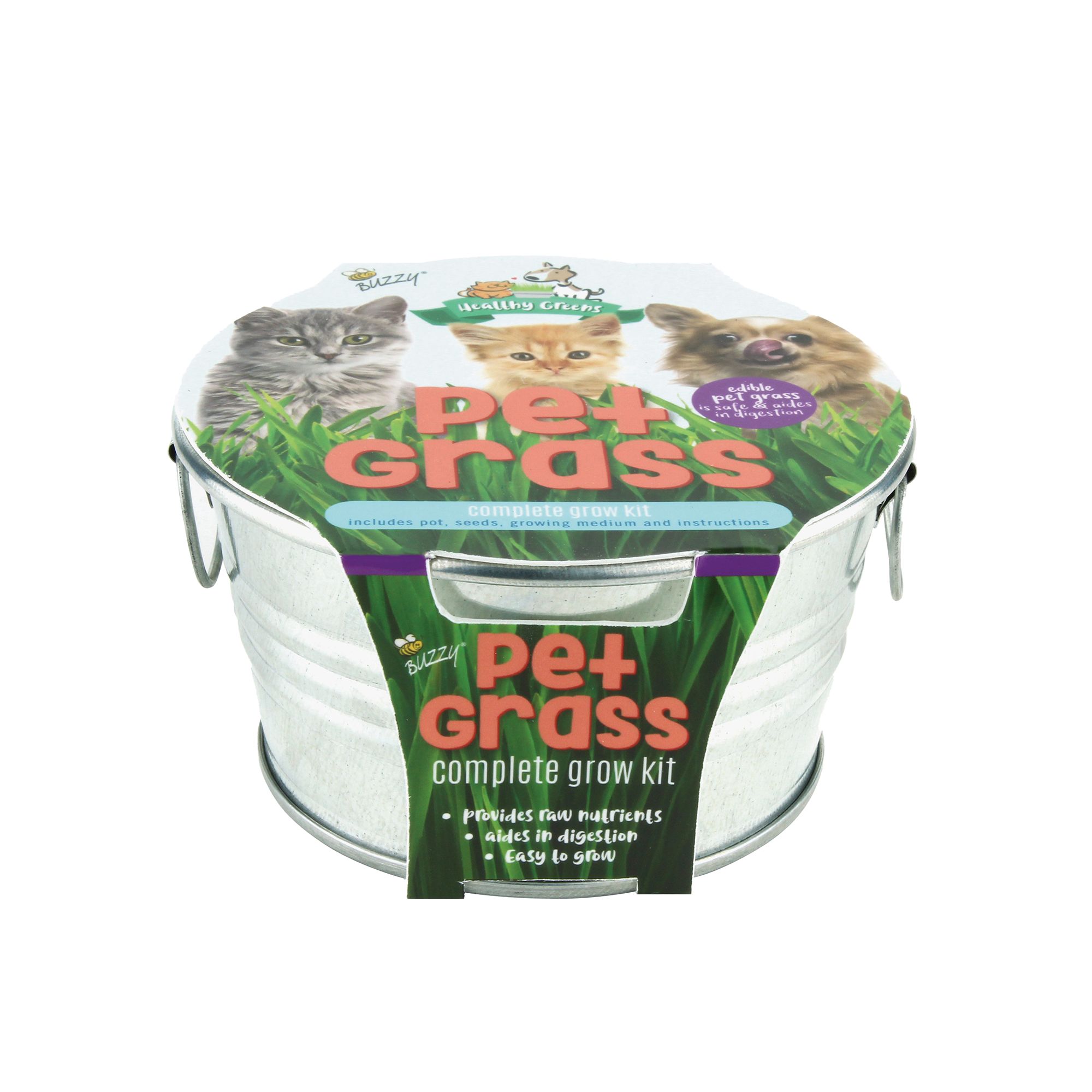 Buzzy Pet Grass Complete Cat Grass Grow Kit cat Catnip & Grass PetSmart