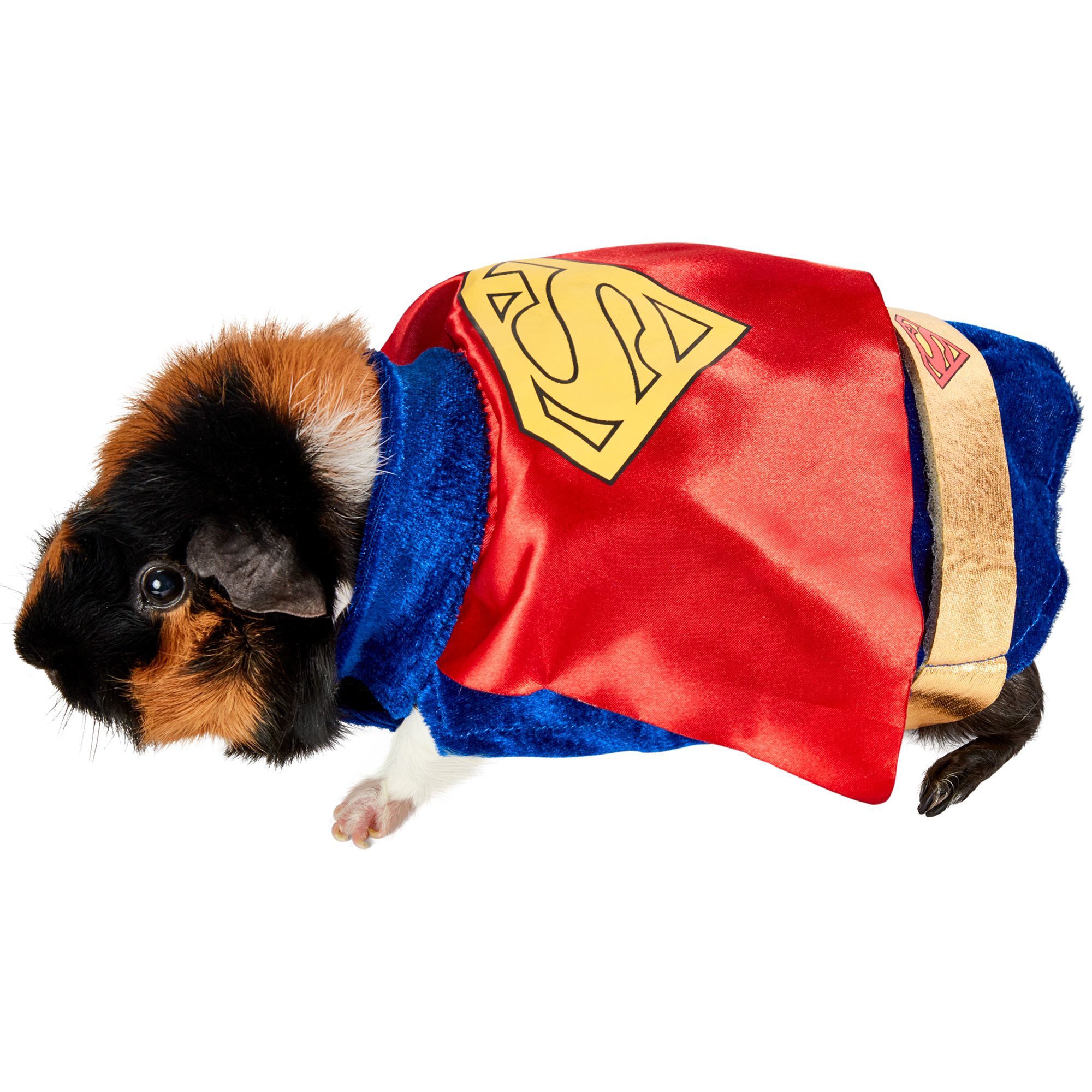 Rubie's Costume Company Small Animal Superman Costume small pet Small