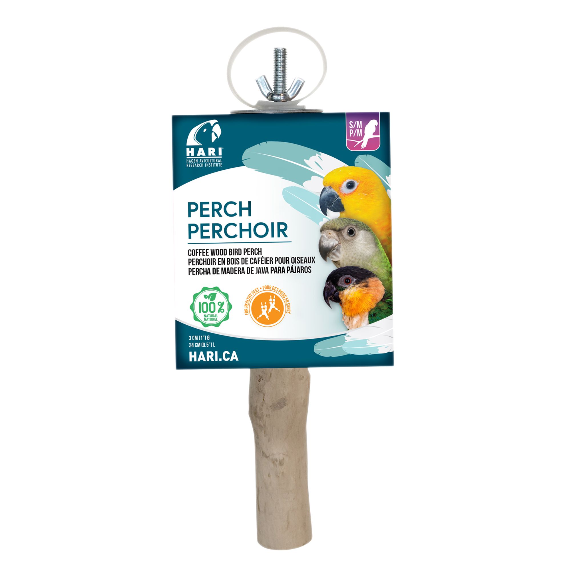 Hari Coffee Wood Bird Perch bird Perches & Swings PetSmart