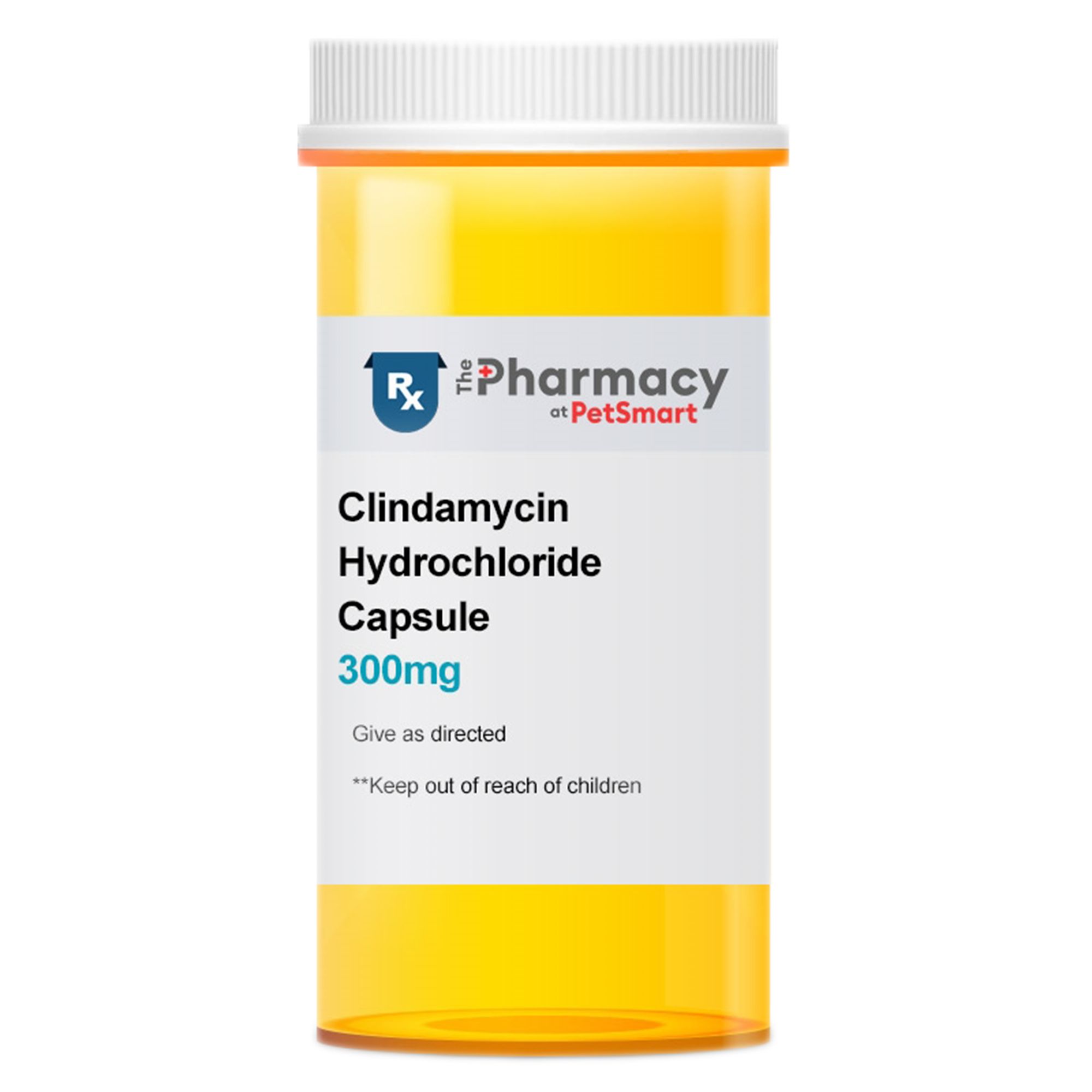 Can Dogs Take Clindamycin Hcl 300 Mg