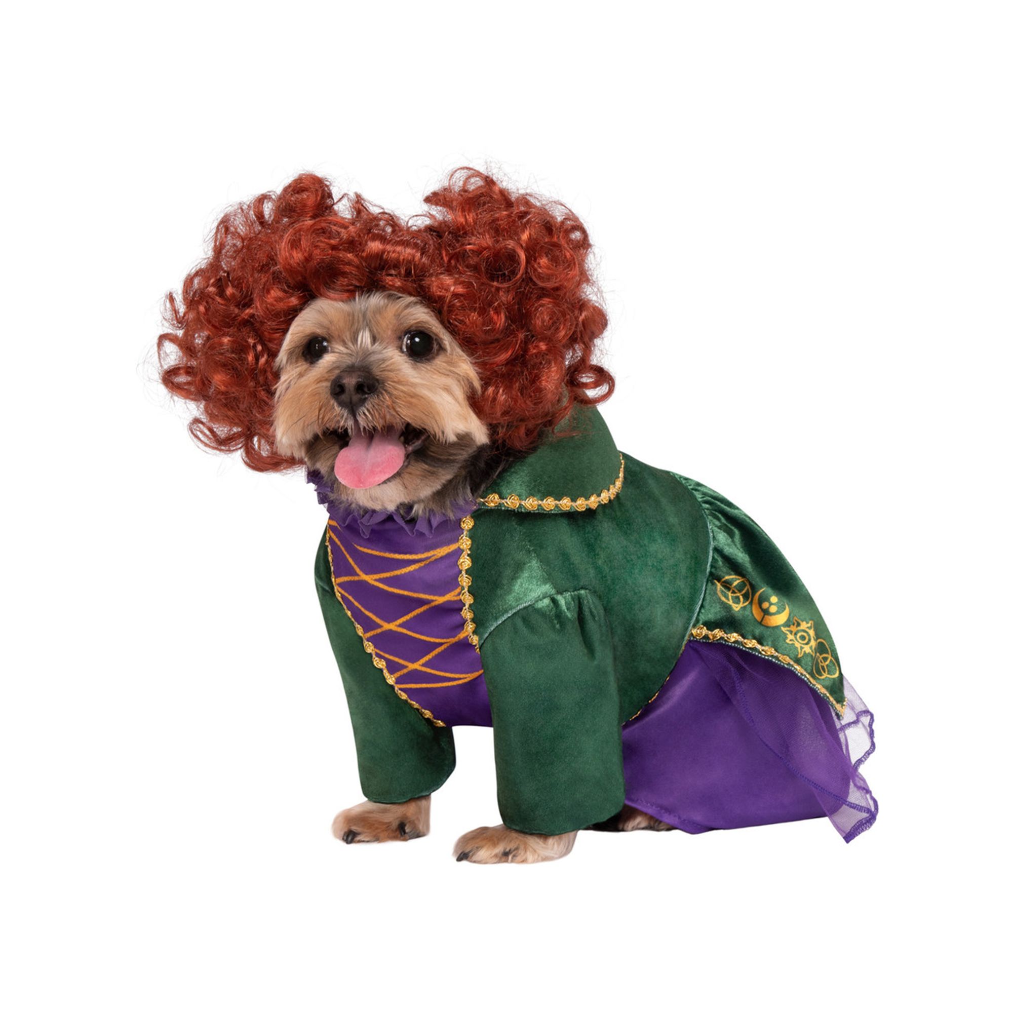 Rubie's Pet Shop Halloween Hocus Pocus Winifred Dog & Cat Costume dog