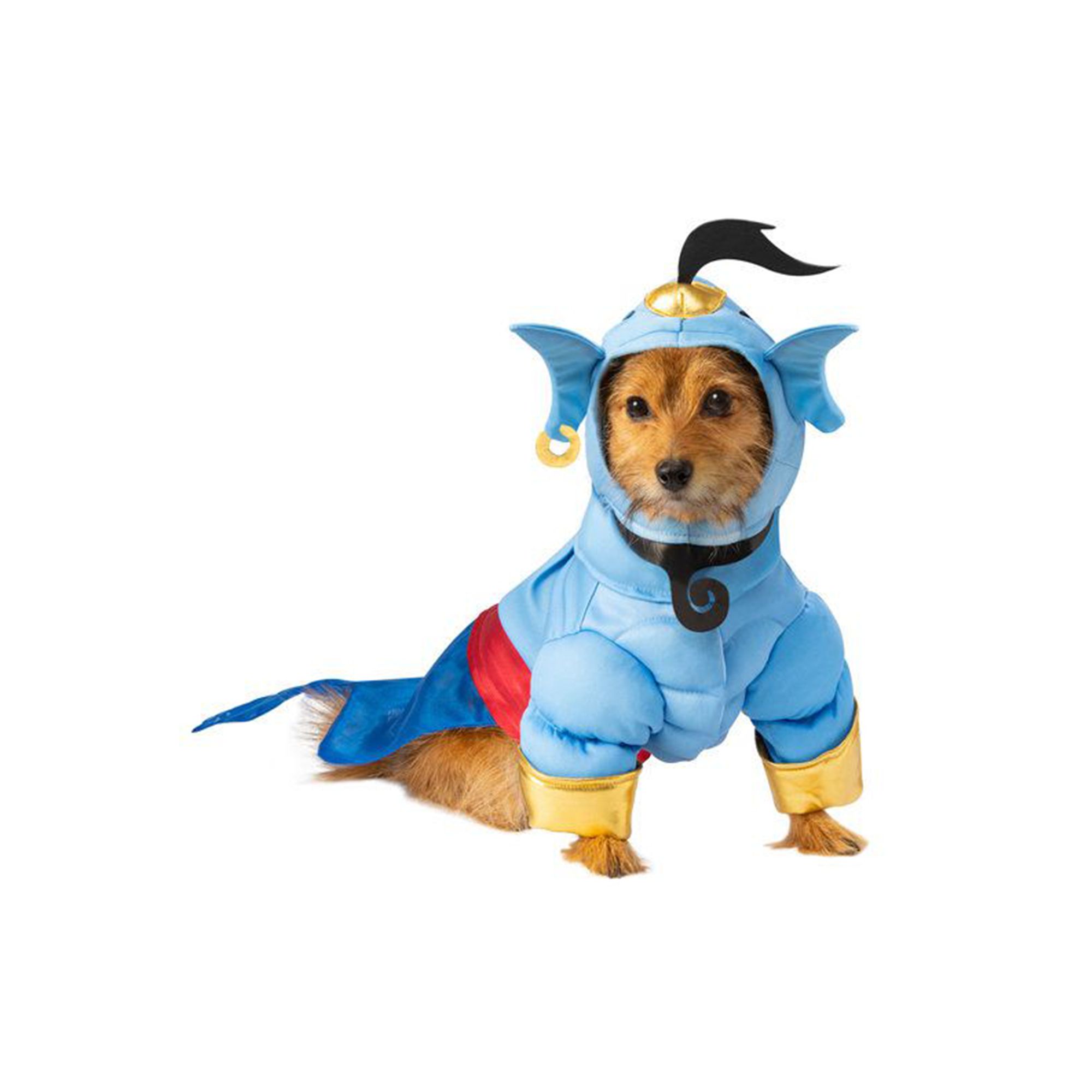 Rubie's Pet Shop Halloween Aladdin Genie Dog & Cat Costume dog