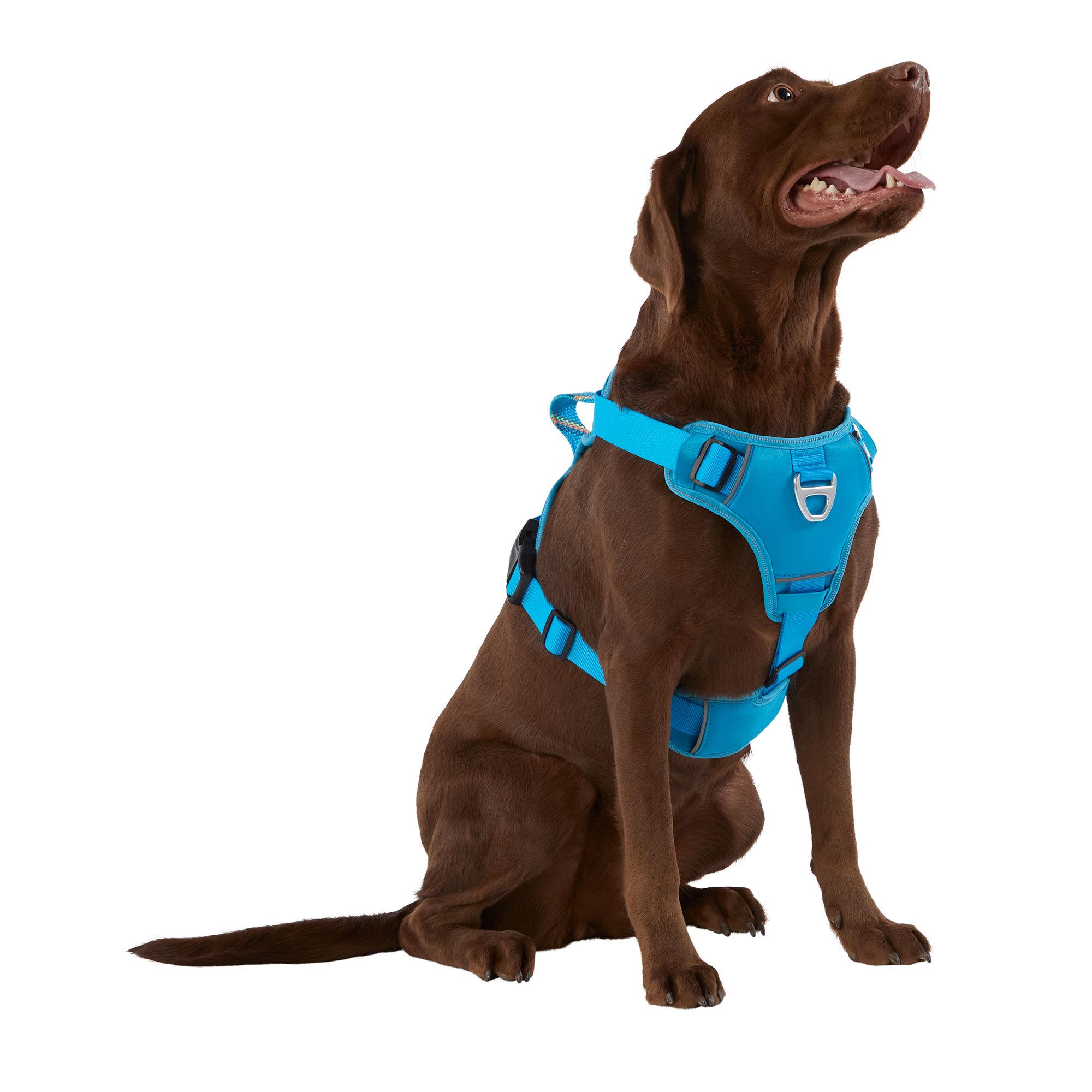 Arcadia Trail™ Neoprene Dog Harness Reflective, WaterResistant dog