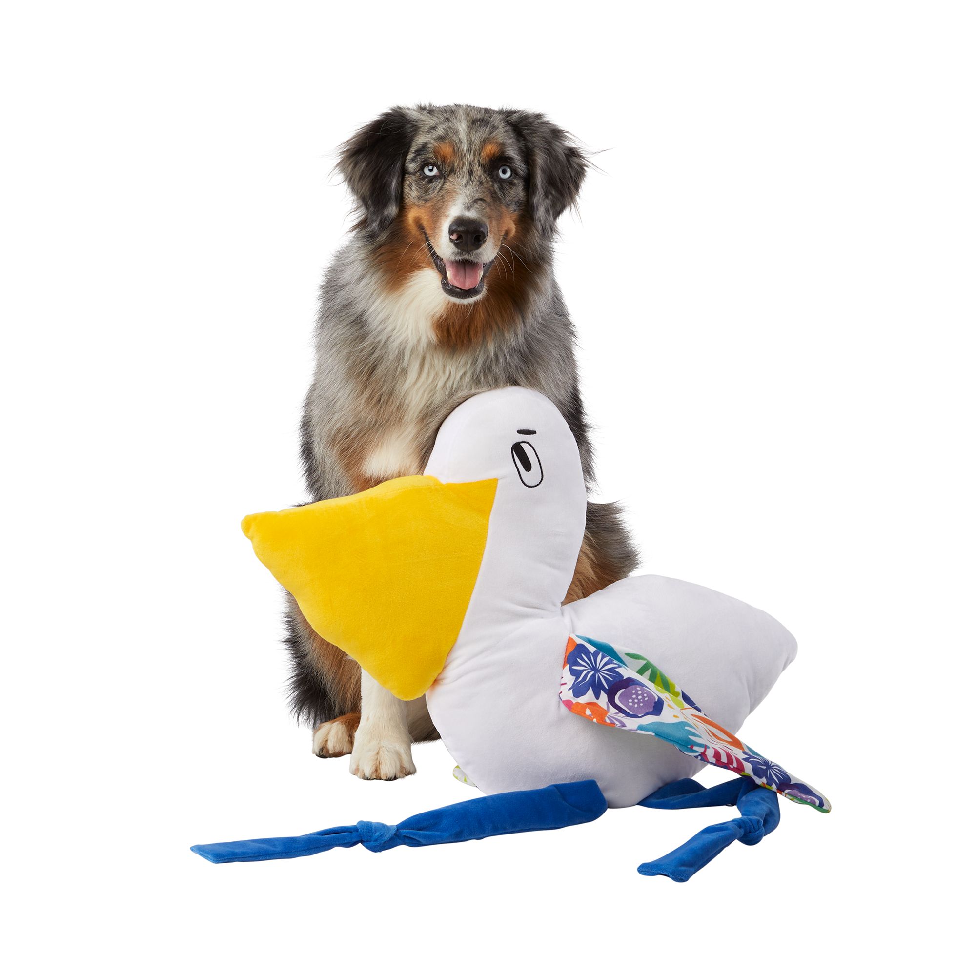 Top Paw® 2X Large Bird Dog Toy Plush, Squeaker dog Plush Toys