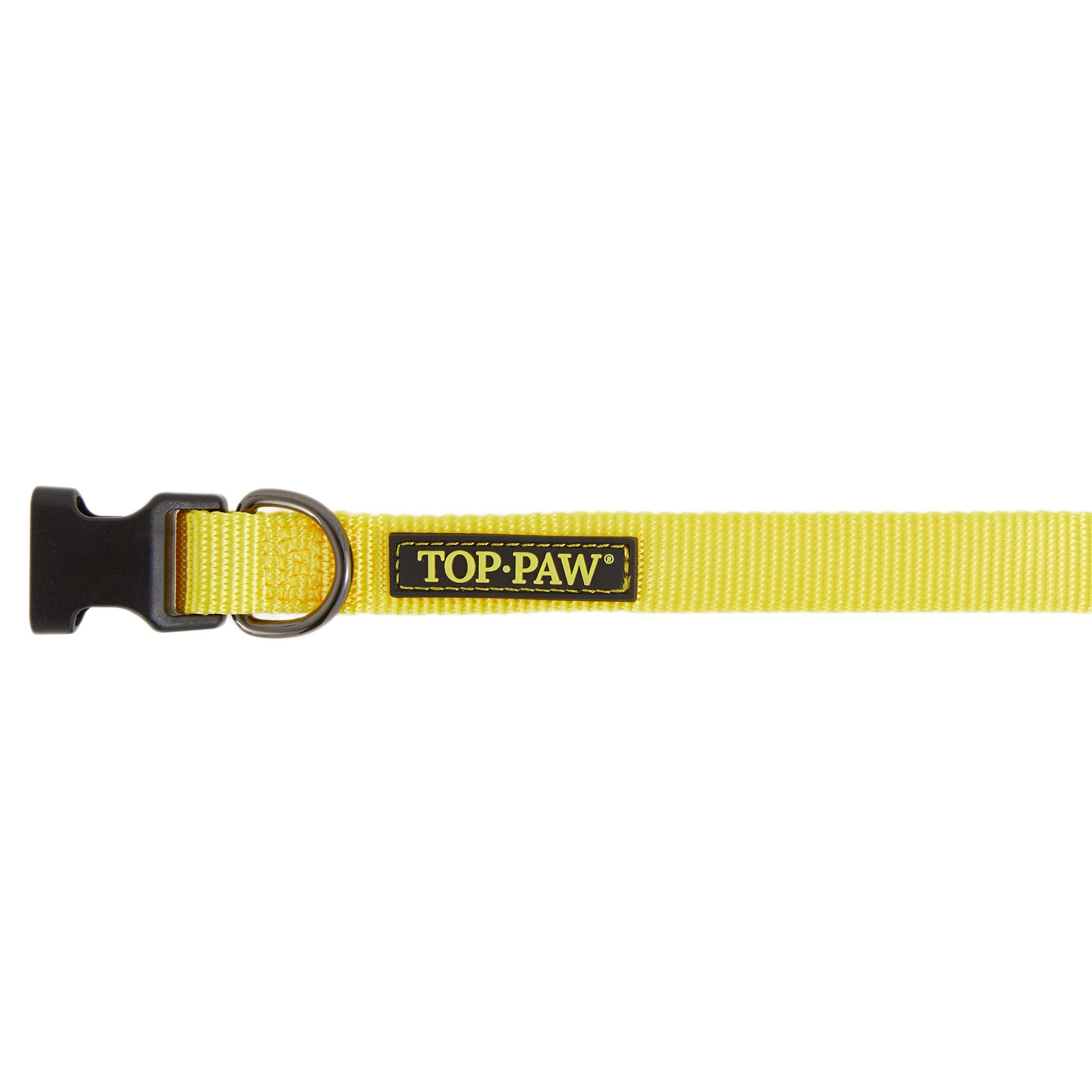 Top Paw® Yellow Dog Collar dog Collars PetSmart
