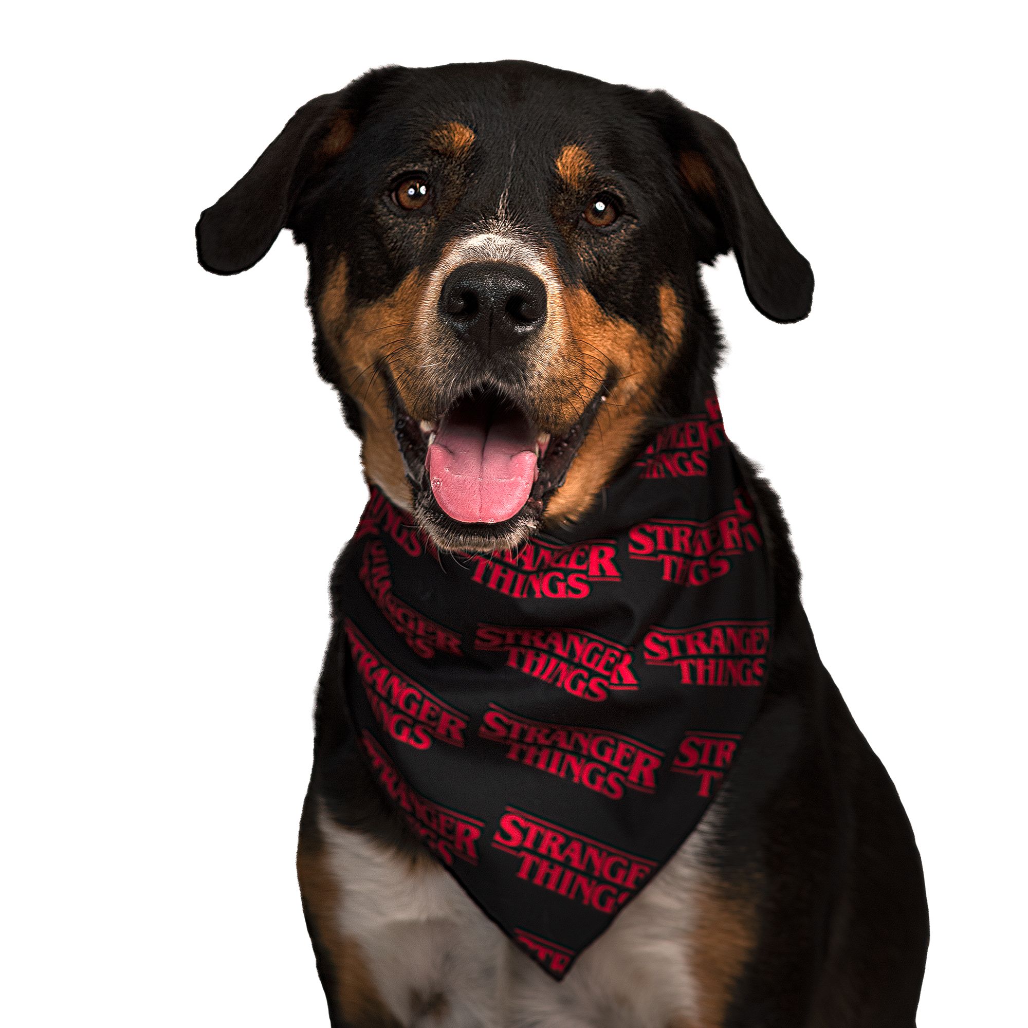 Netflix Stranger Things Pet Bandana dog Bandanas, Bows & Hats PetSmart