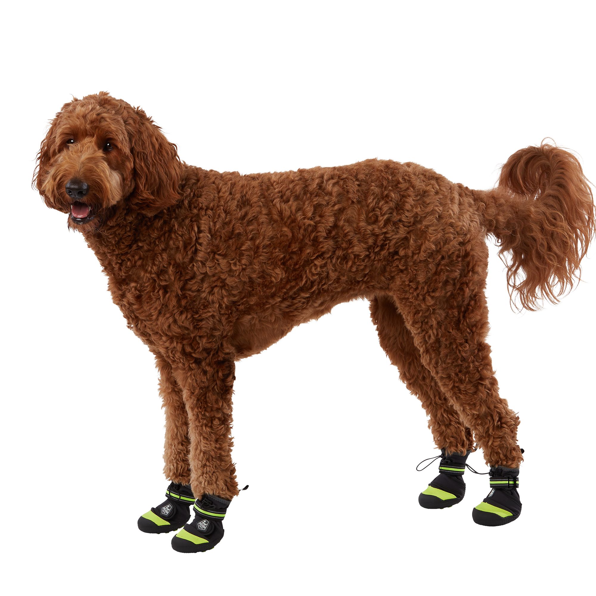 Arcadia Trail™ YearRound AllTerrain Dog Boots dog Boots, Shoes