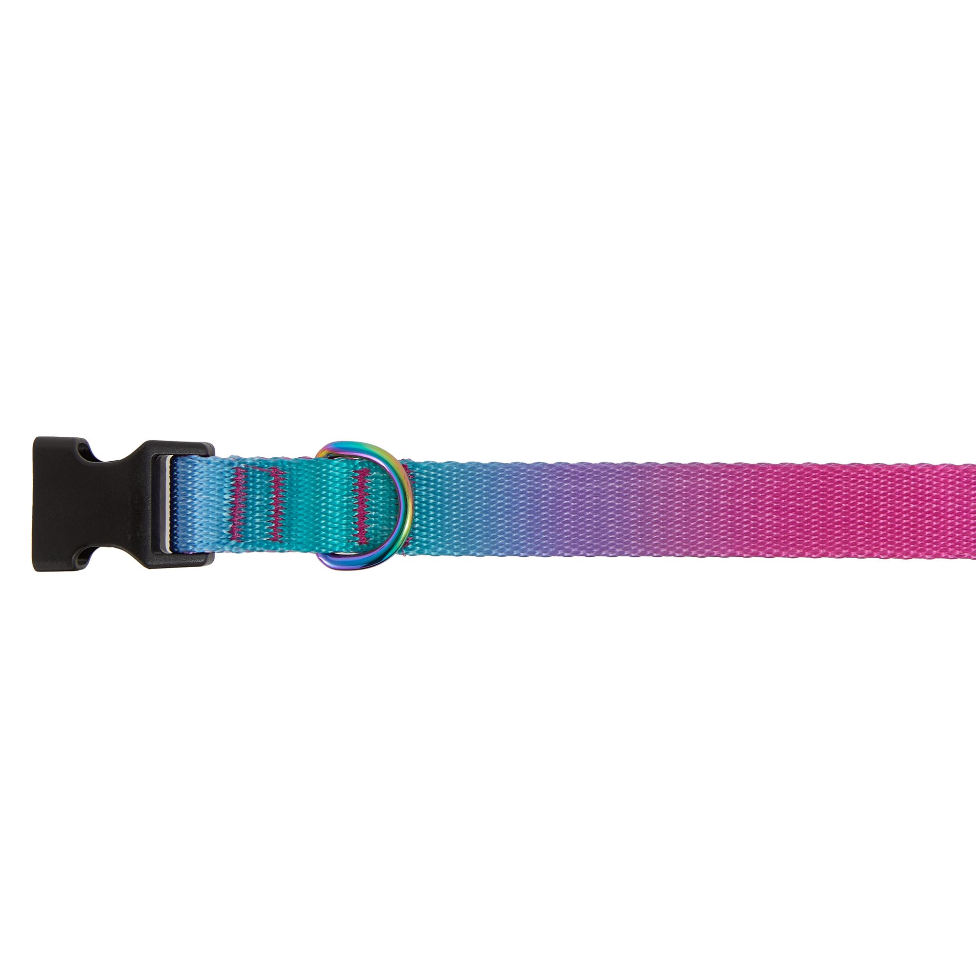 Top Paw® Pink & Teal Ombre Dog Collar dog Collars PetSmart