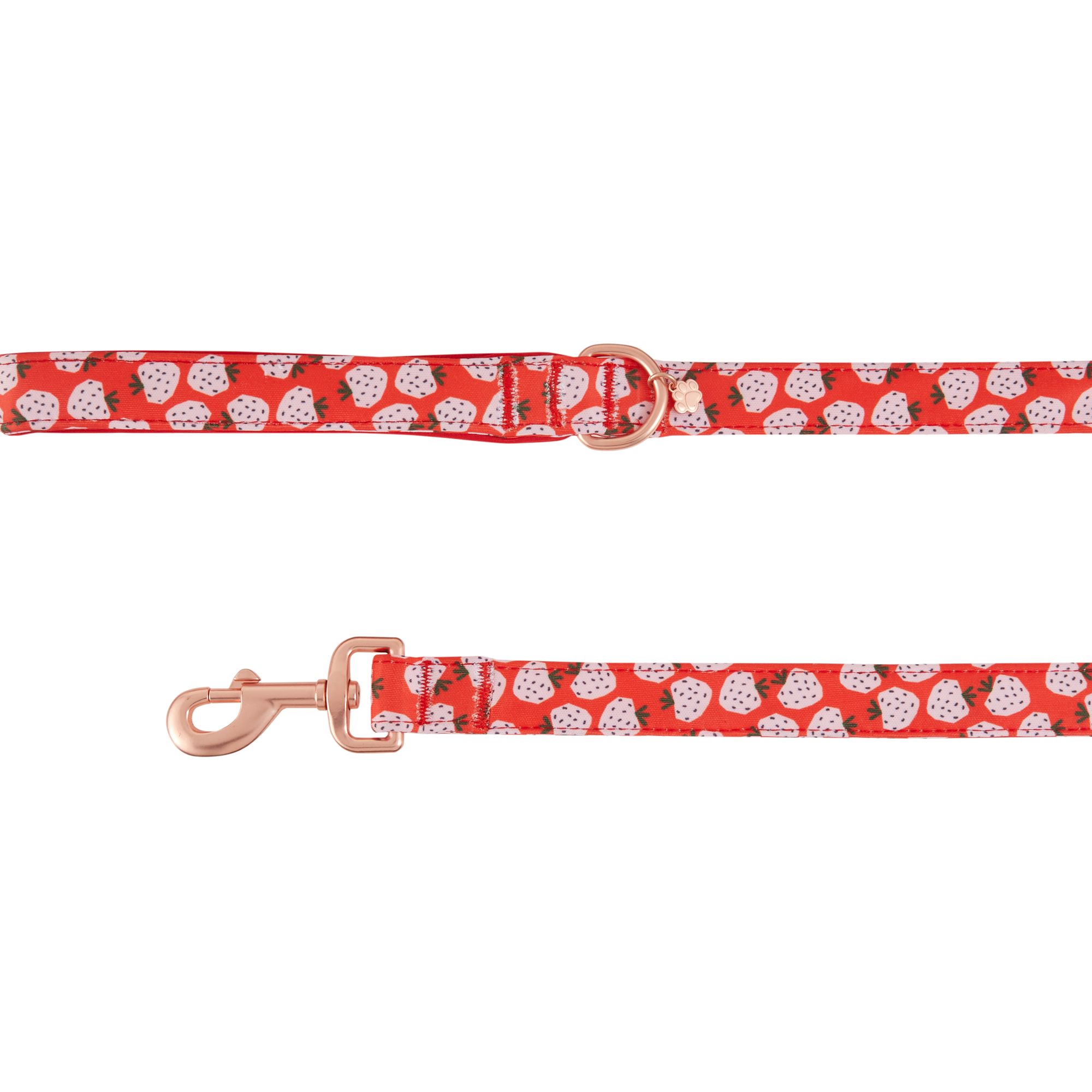 Top Paw® Strawberry Print Neoprene Dog Leash 4ft long, 1in wide