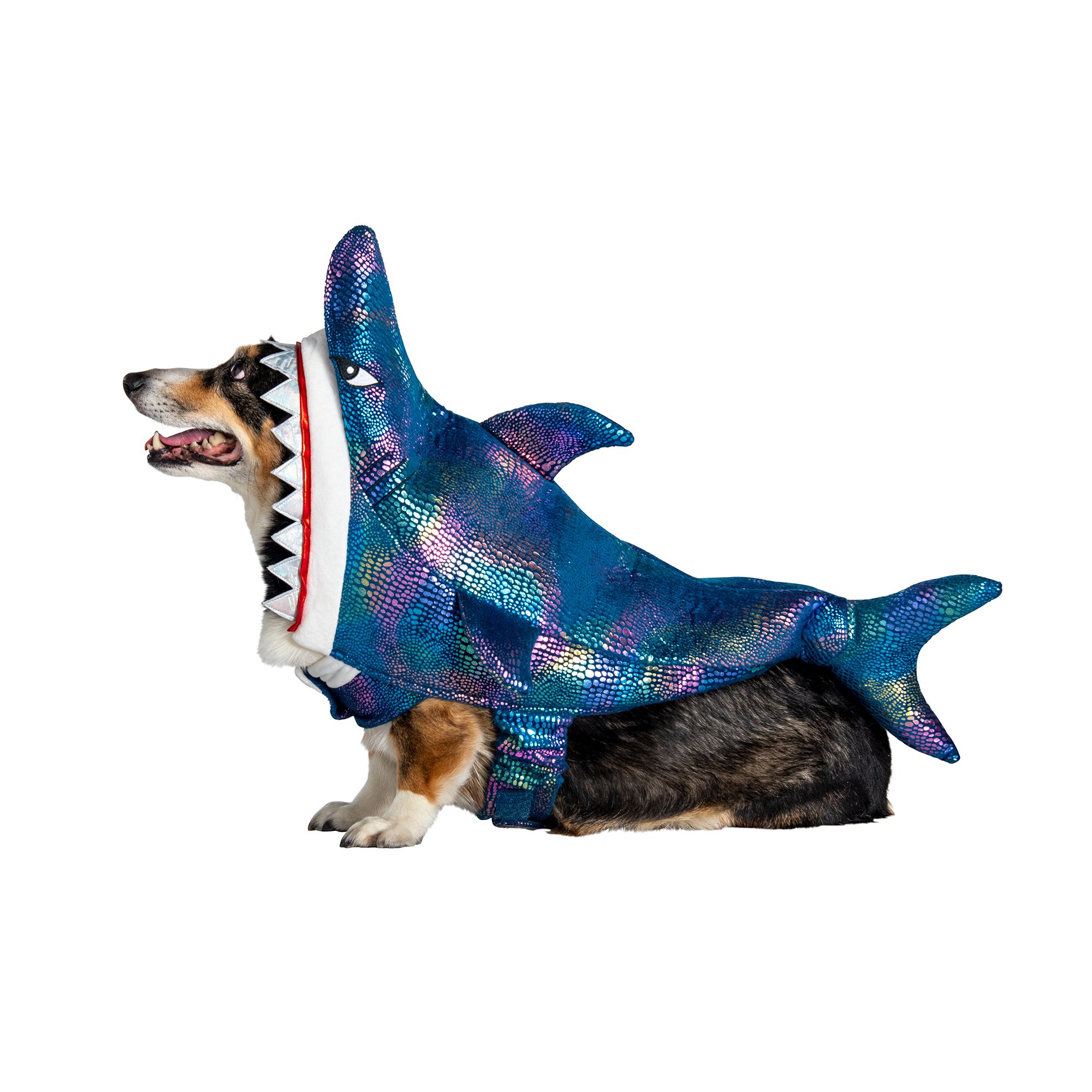 Royal Animals Shark Dog Costume