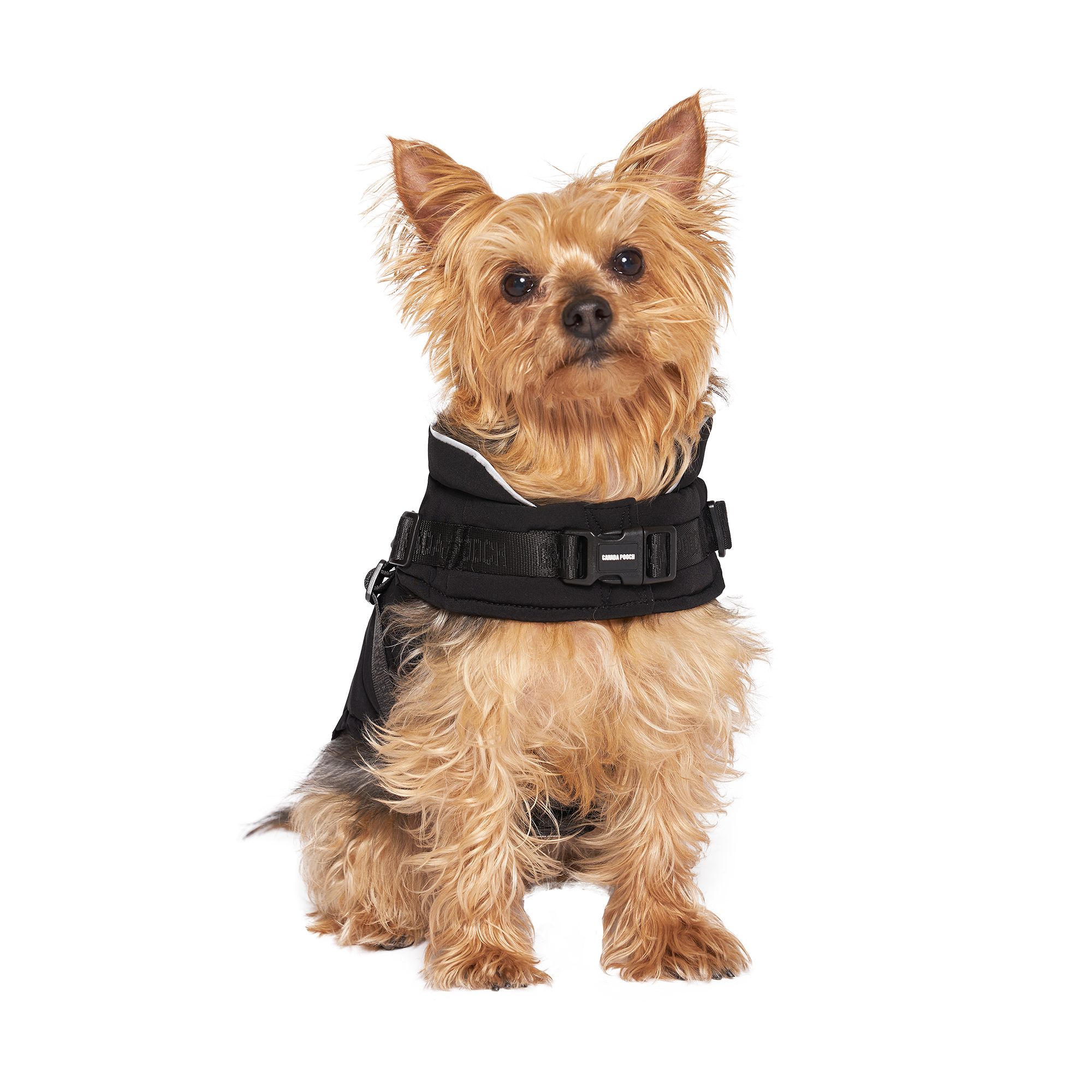Canada Pooch 2in1 Dog Harness Puffer Jacket Black dog Jackets