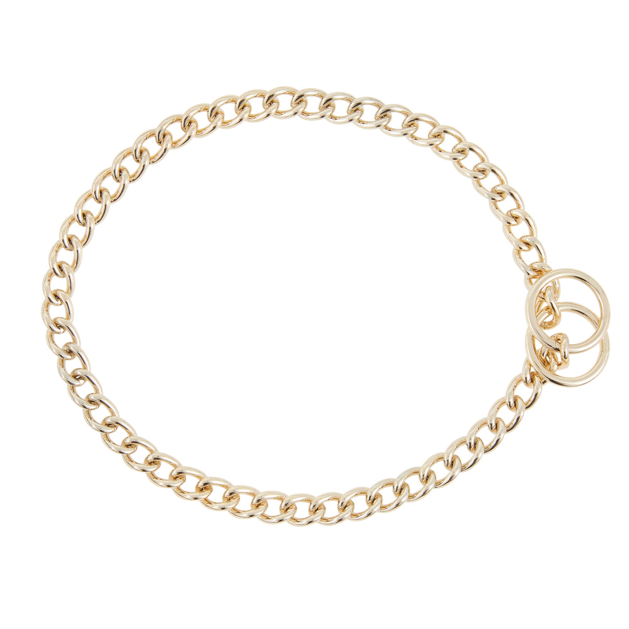 Top Paw® Basic Choke Chain Dog Collar dog Training Collars, Leashes