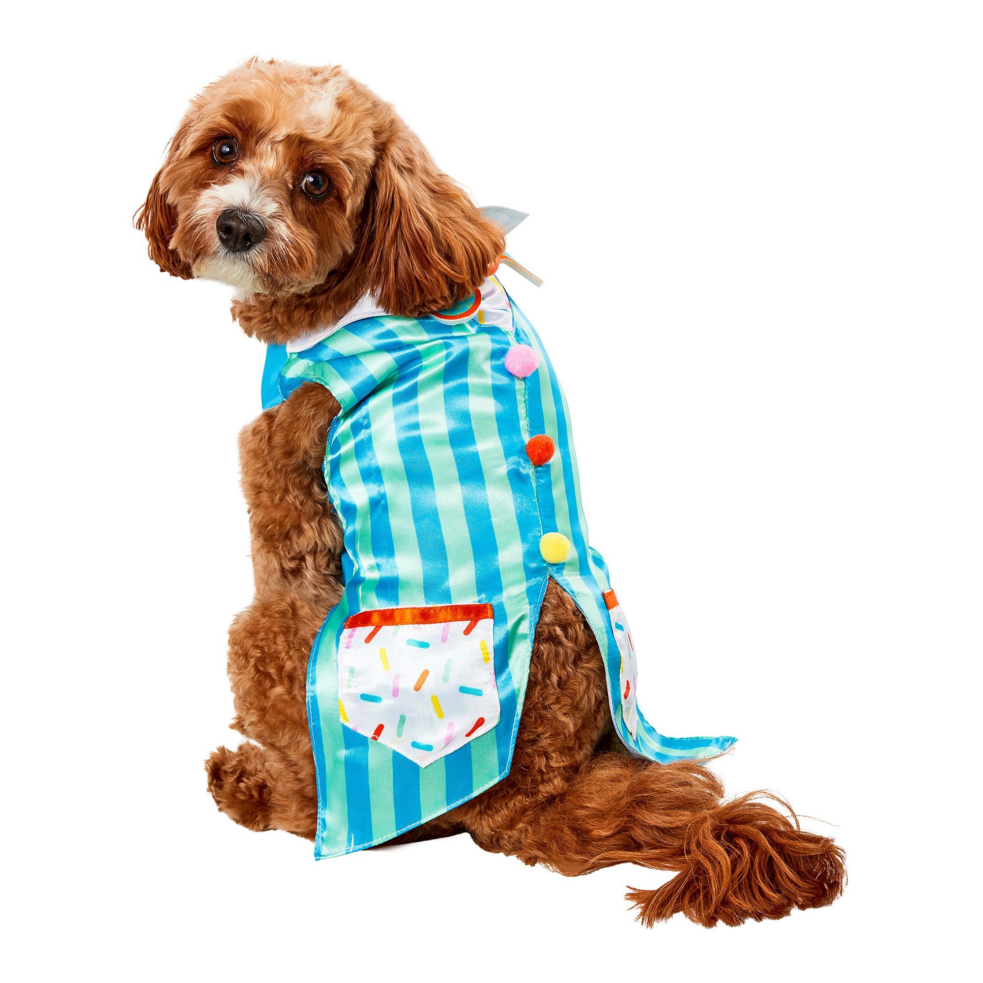 Rubie's Pet Shop Birthday Dog Vest dog Costumes PetSmart