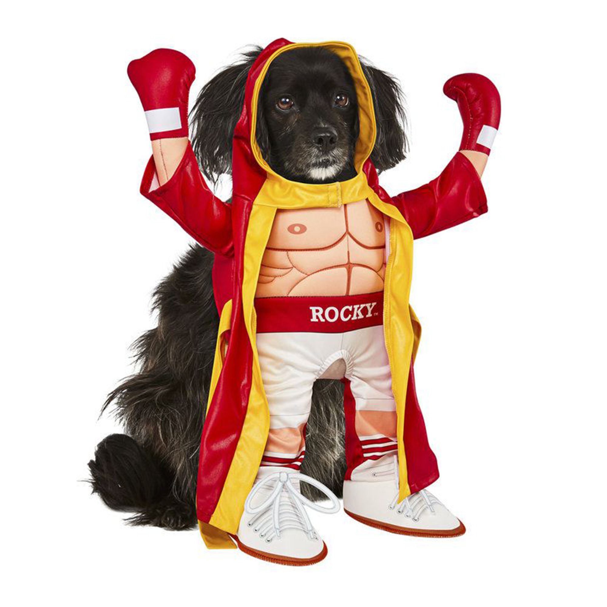 Rubie's Pet Shop Halloween Rocky Dog & Cat Costume dog Costumes PetSmart