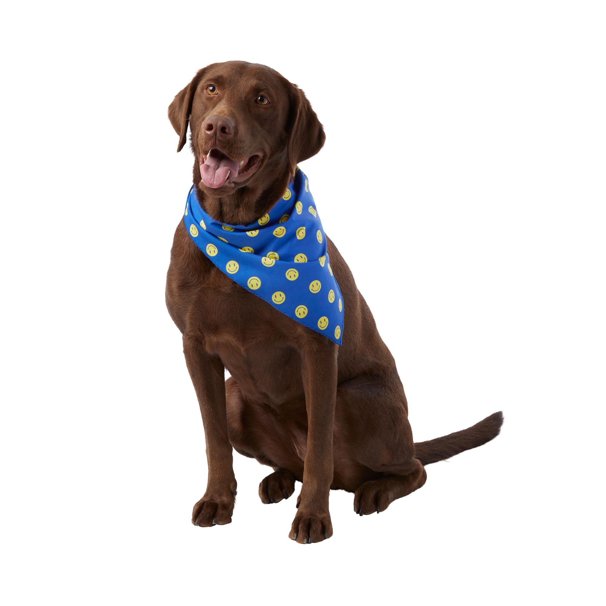 Top Paw® Smiley Face Dog Bandana dog Bandanas, Bows & Hats PetSmart