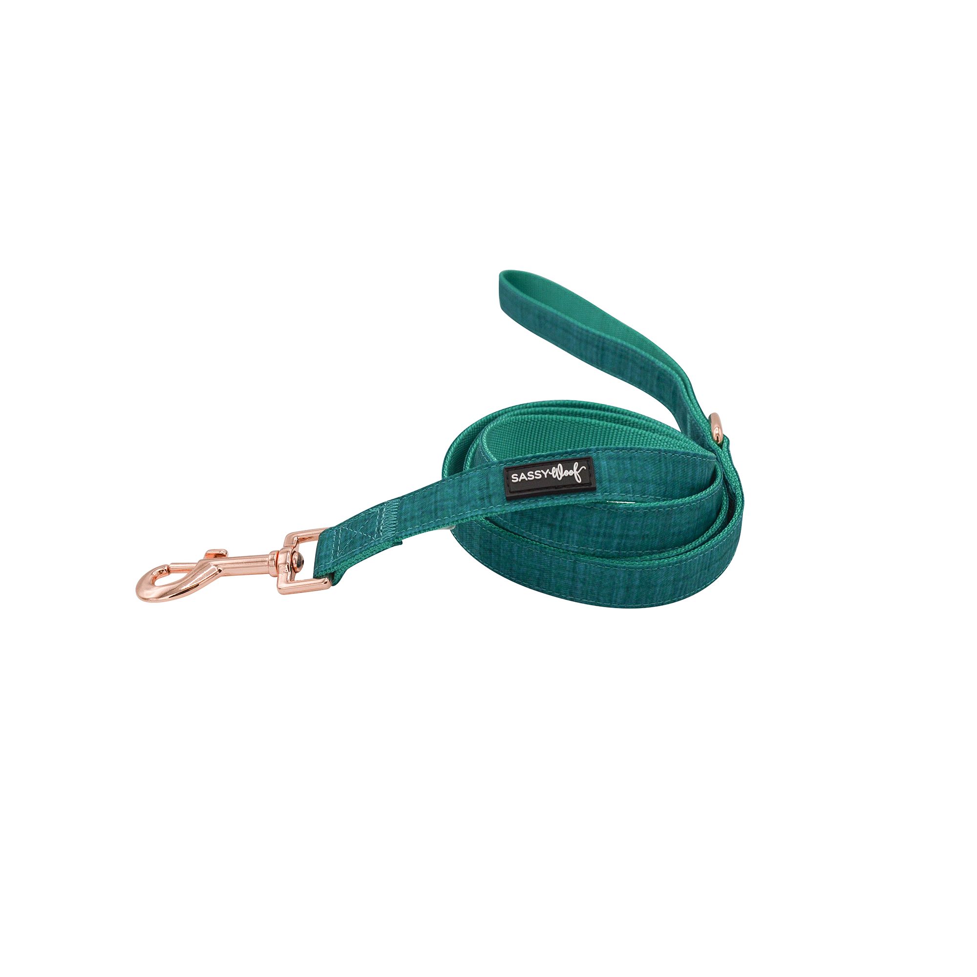 Sassy Woof Napa Dog Leash 5ft long dog Leashes PetSmart