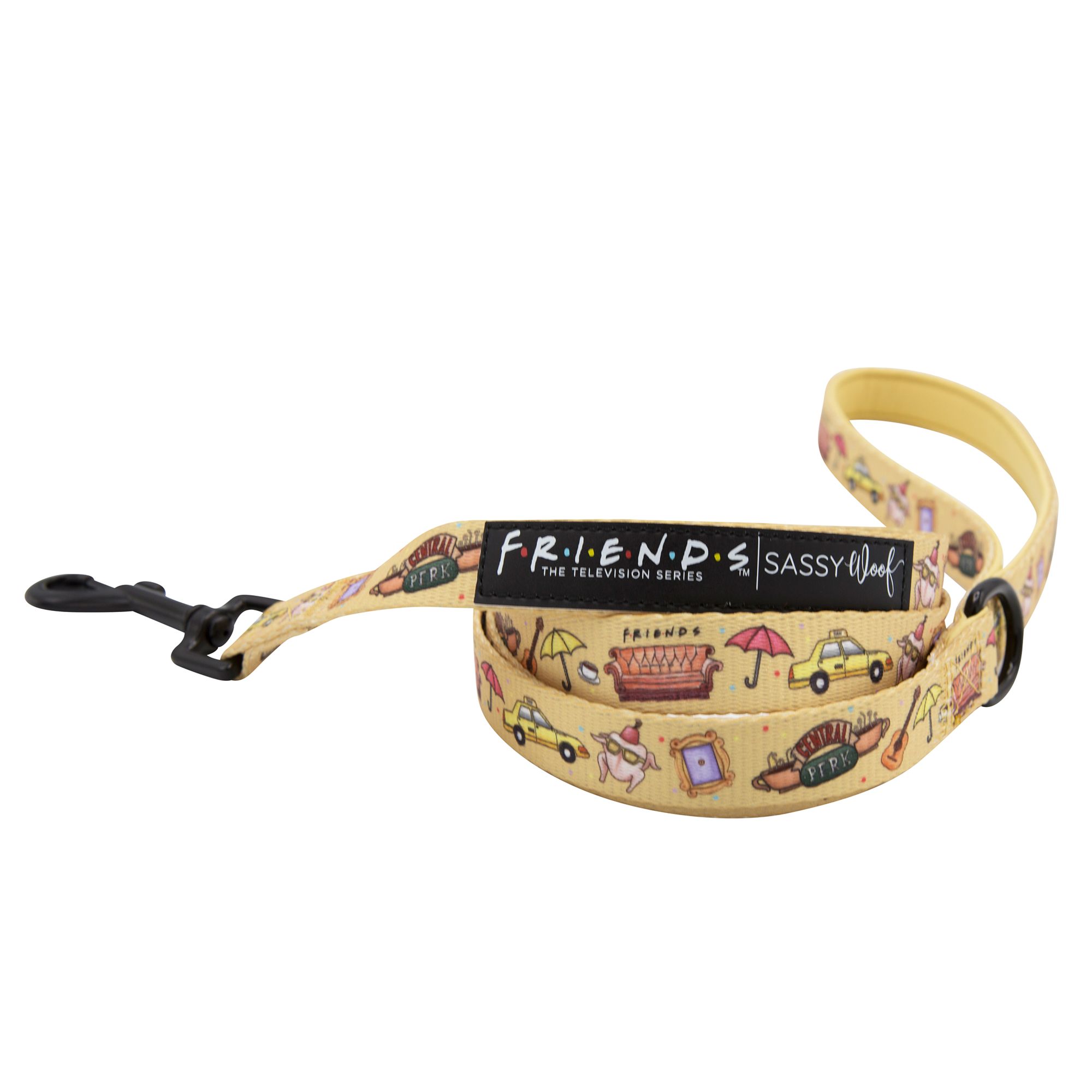 Sassy Woof Friends Fabric Dog Leash 5ft long dog Leashes PetSmart