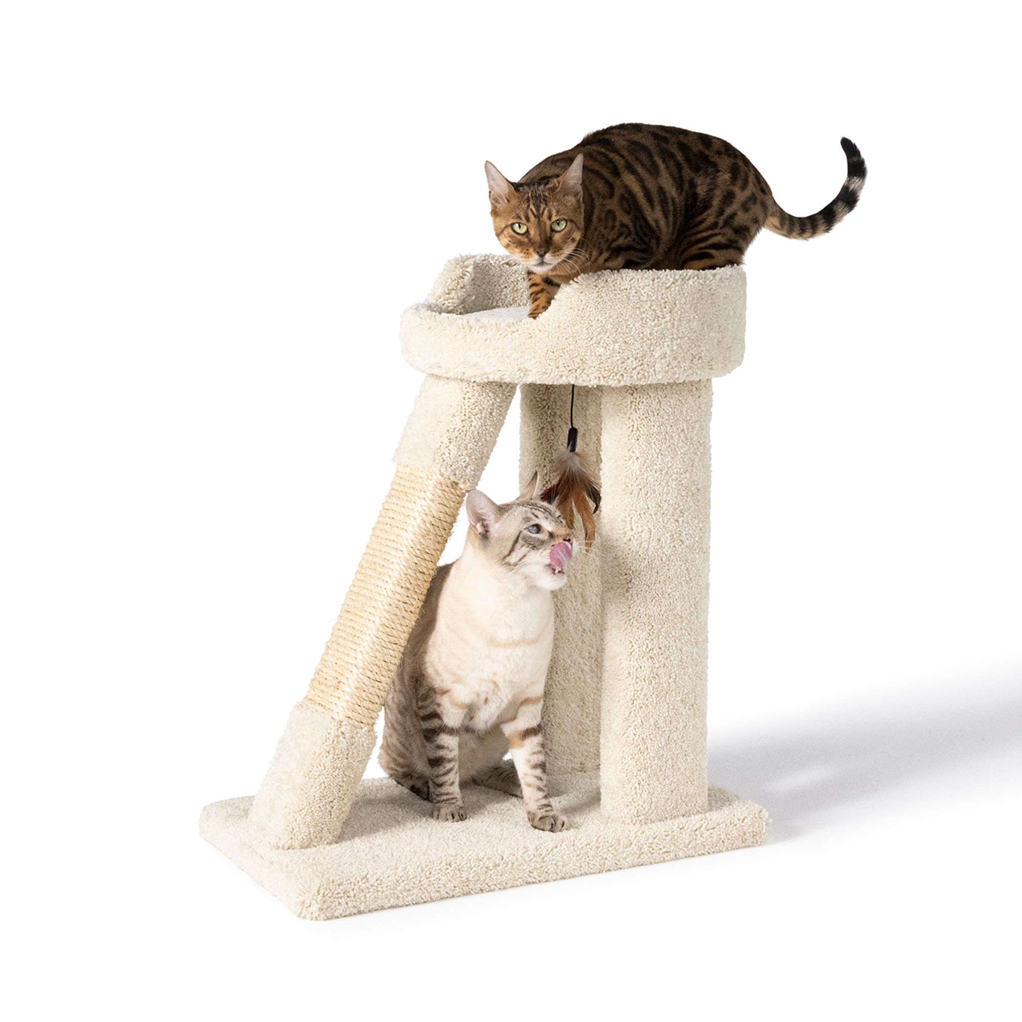 Whisker City® 26in Short Cat Tower with Ramp