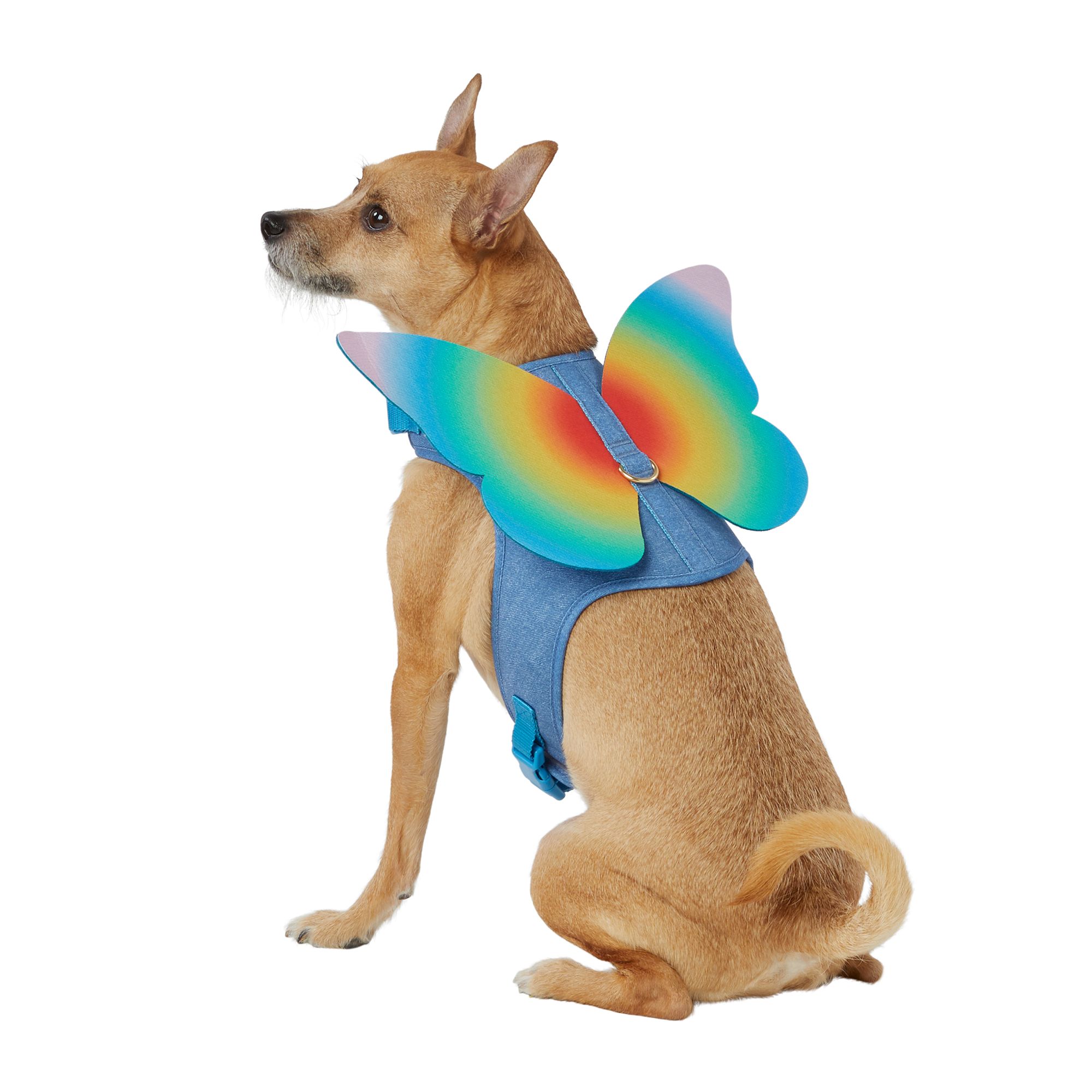 You Are Loved® Pride Butterfly Dog Harness dog Harnesses PetSmart