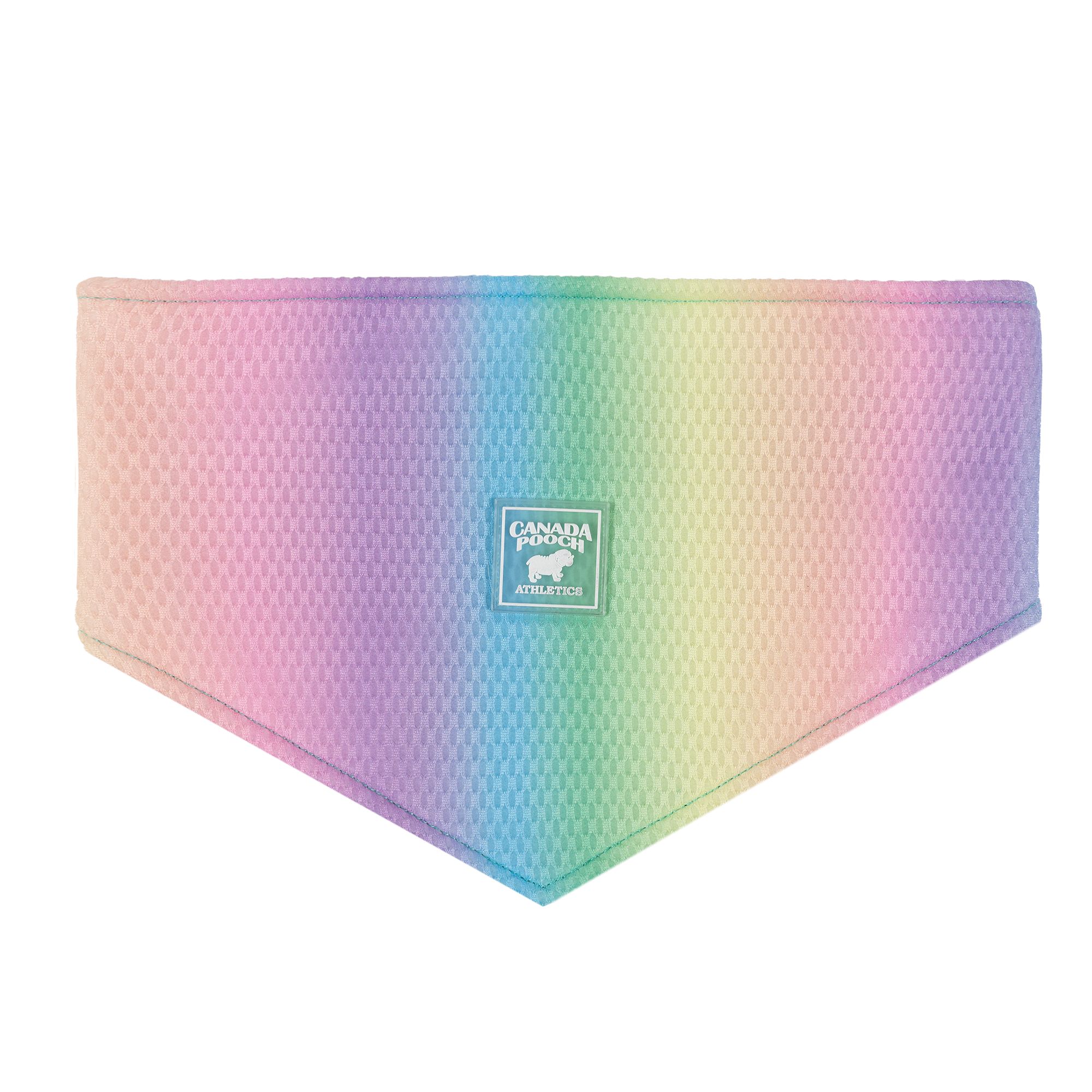 Canada Pooch Rainbow Cooling Dog Bandana dog Bandanas, Bows & Hats