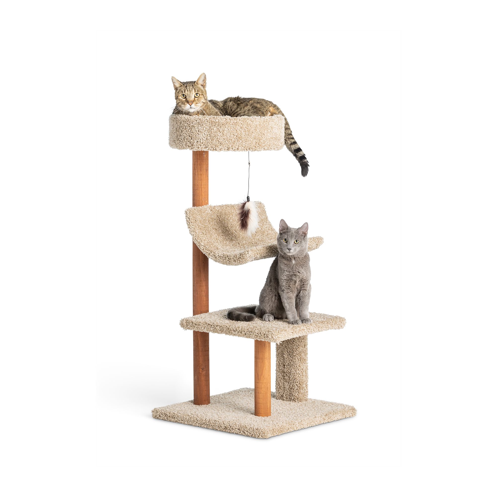 Whisker City® 41in Cozy Inn Cat Tower (COLOR VARIES) cat Furniture
