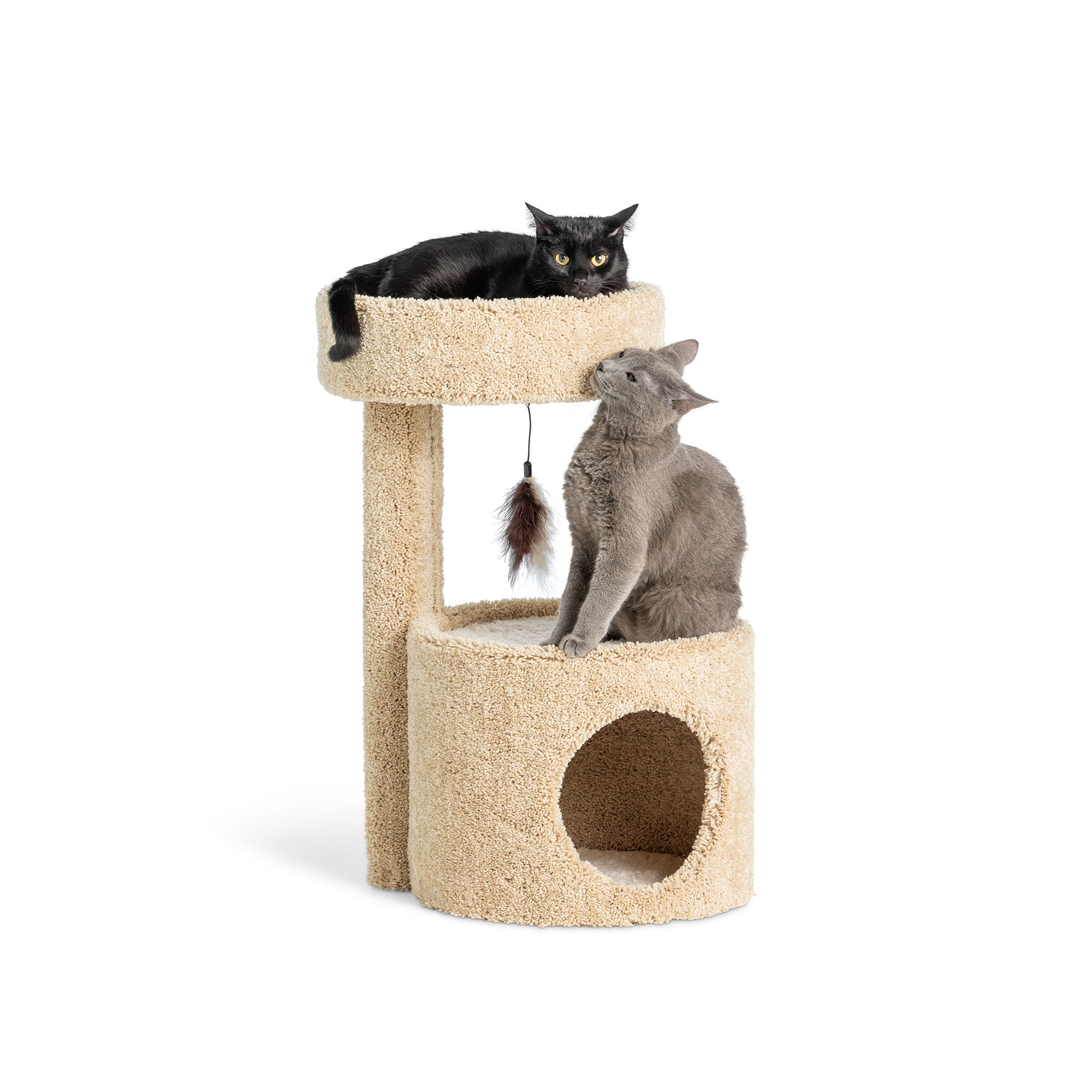 Whisker City® 27in Cat Condo (COLOR VARIES)