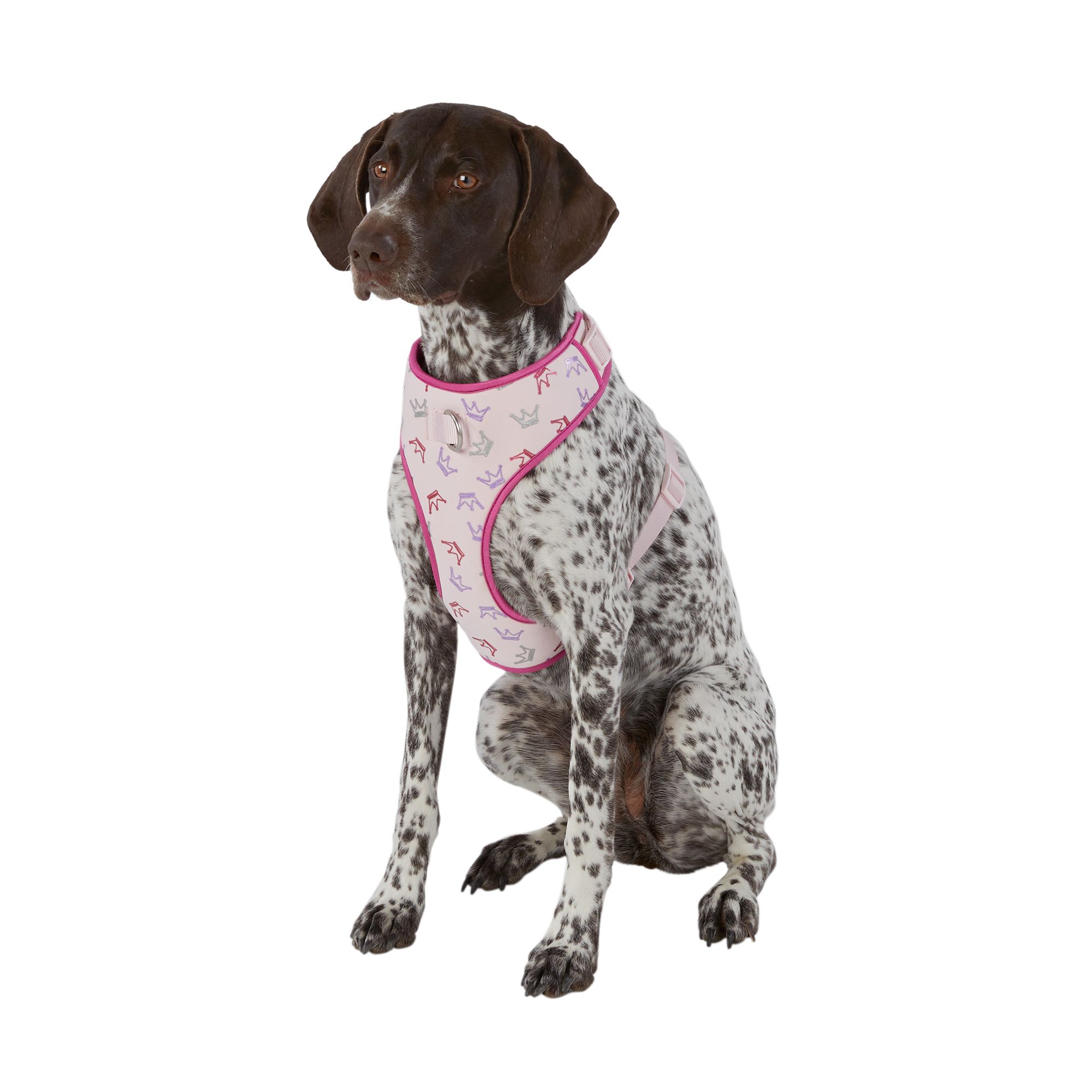 Top Paw® Princess Dog Harness dog Harnesses PetSmart